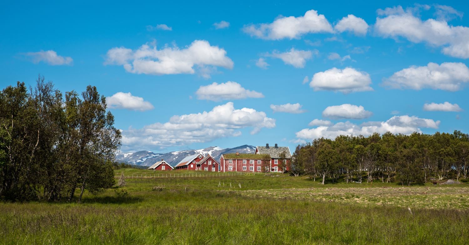 Landscape with traditional buildings in the background.