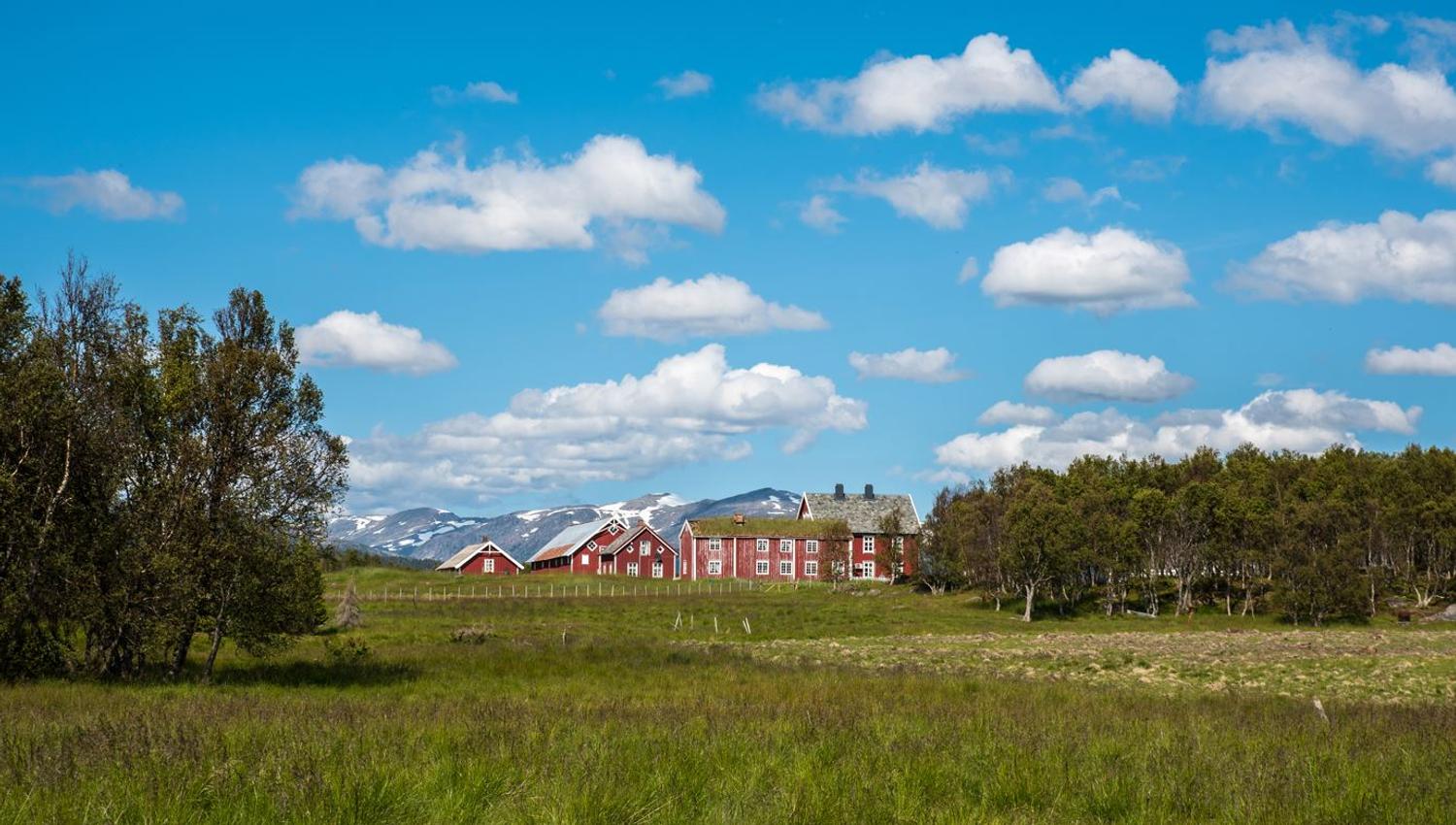 Landscape with traditional buildings in the background.