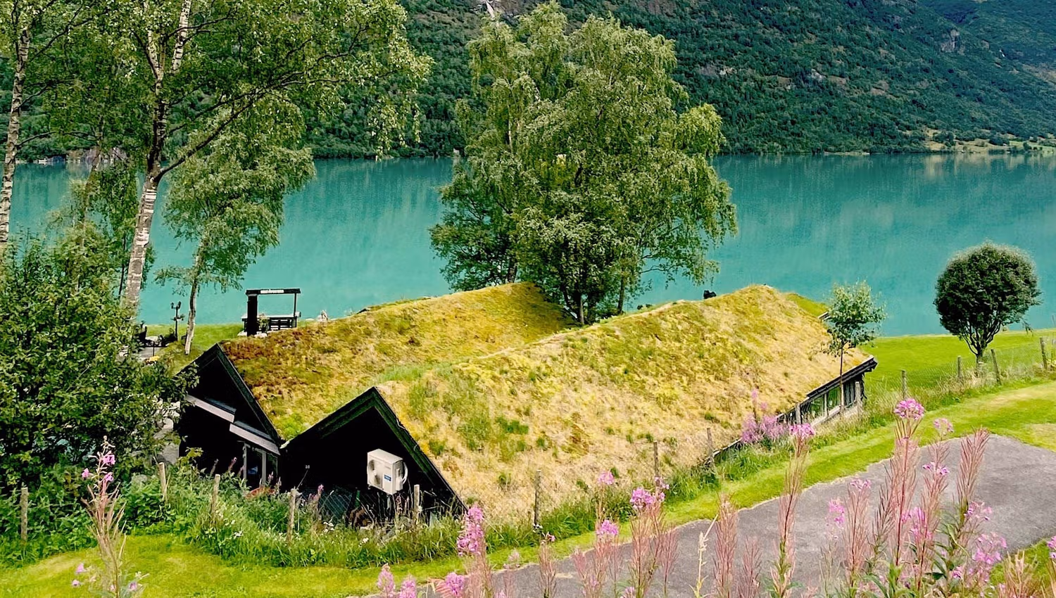 Two dark cottages with grass roofs sit on a hillside above a turquoise Oldedalen lake, framed by trees and pink wildflowers at Yrineset in Olden..