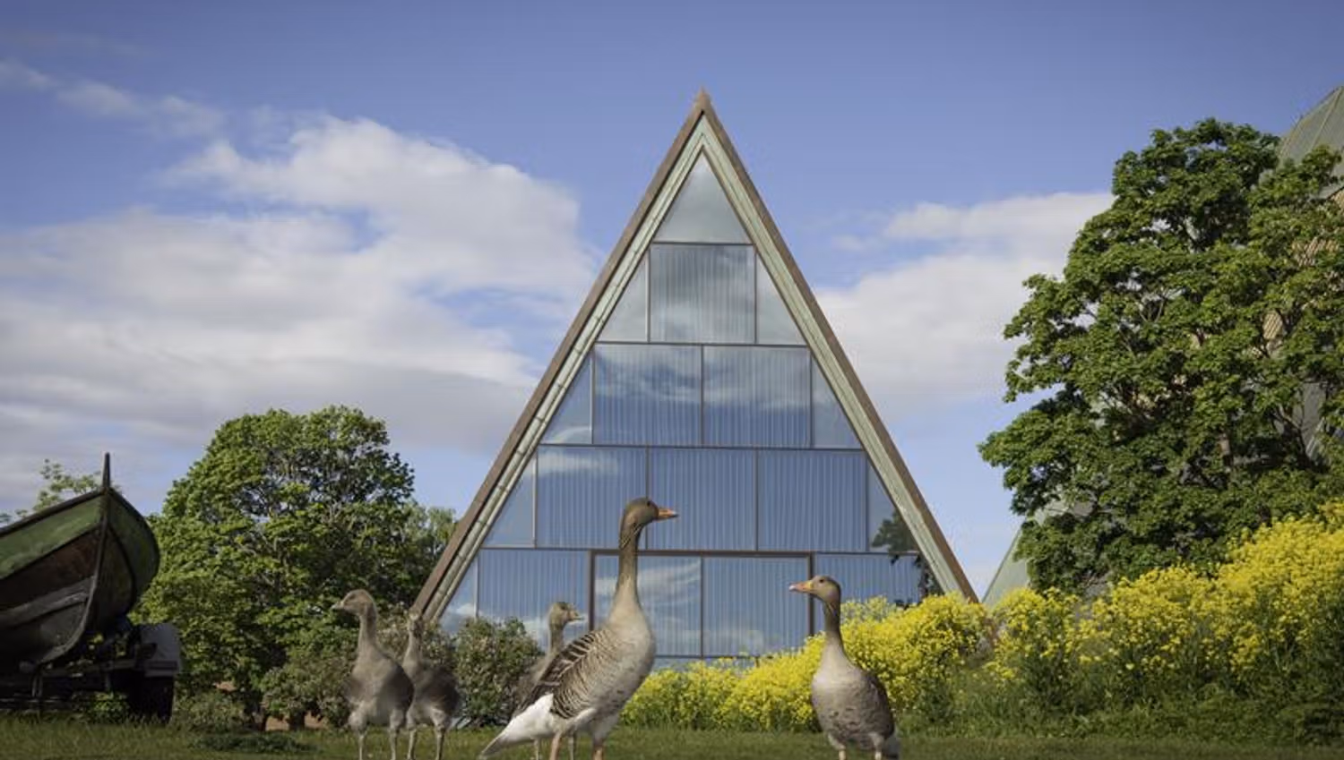 Exterior with geese.