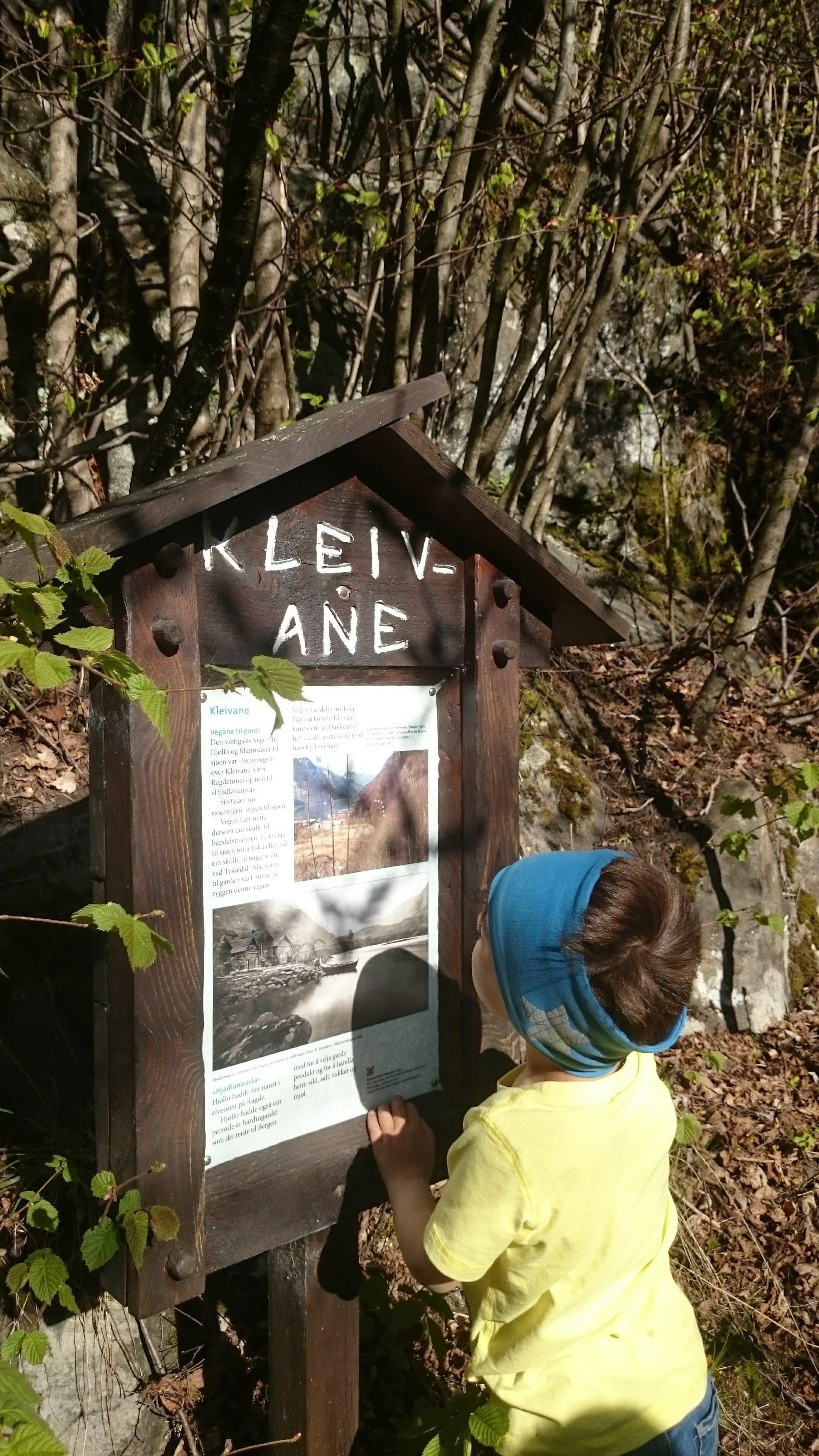 Child reading the “Kleivane” information board on the Hjøllo–Mannsåker cultural trail in Hardanger.