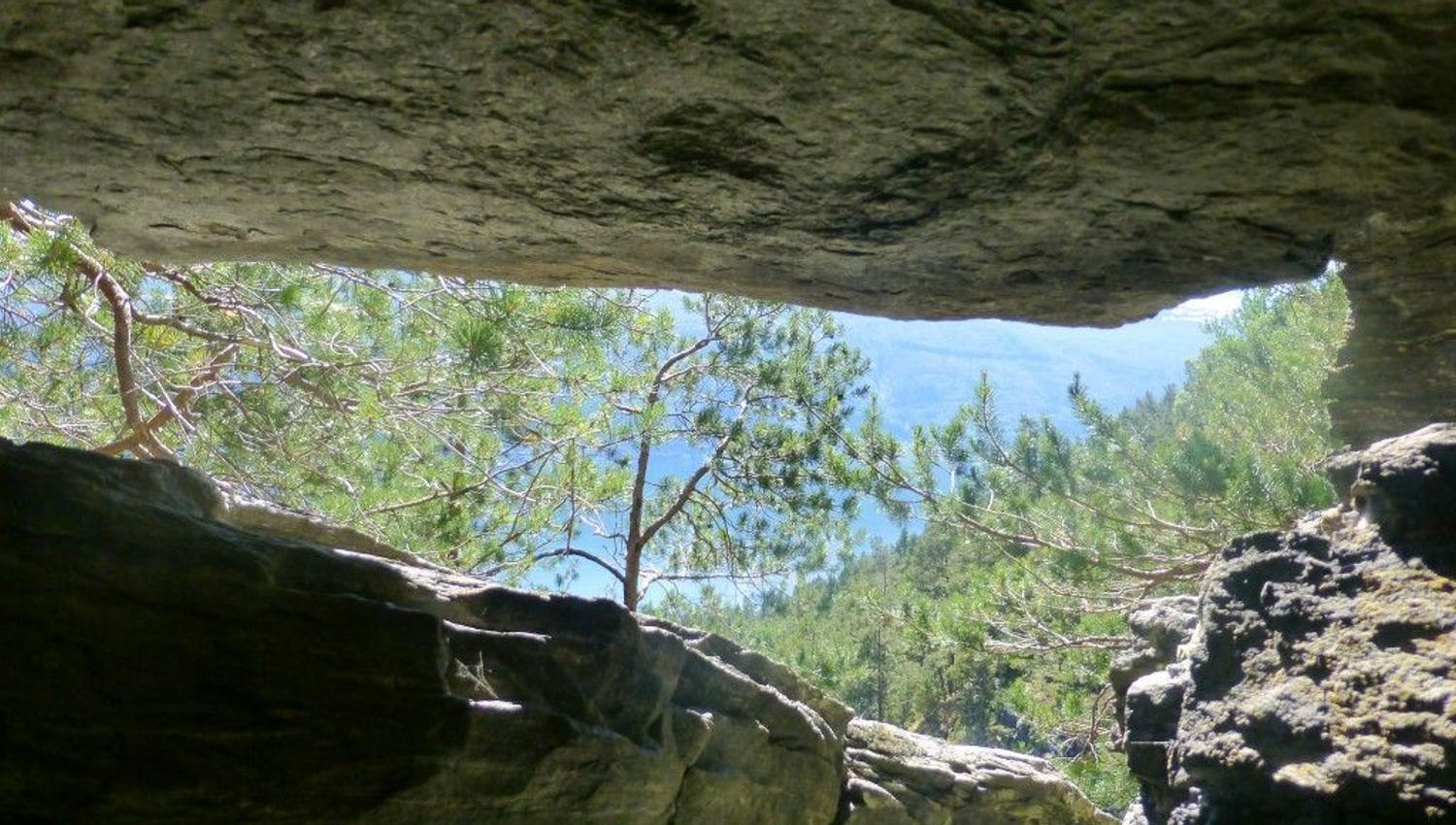 View from beneath a rocky overhang looking out to pine trees and distant blue mountains in daylight.