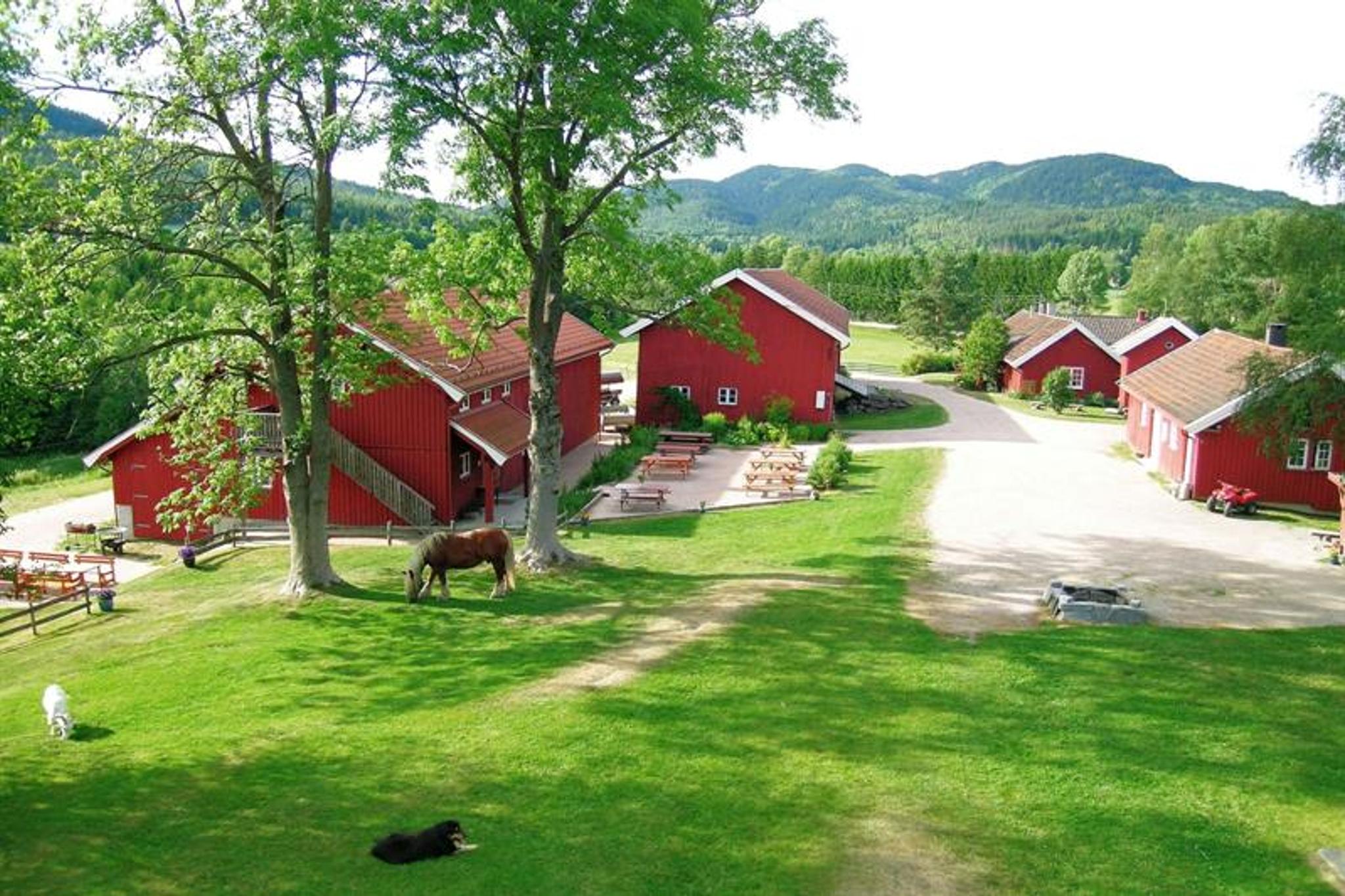 ulike dyr og bygninger på gården