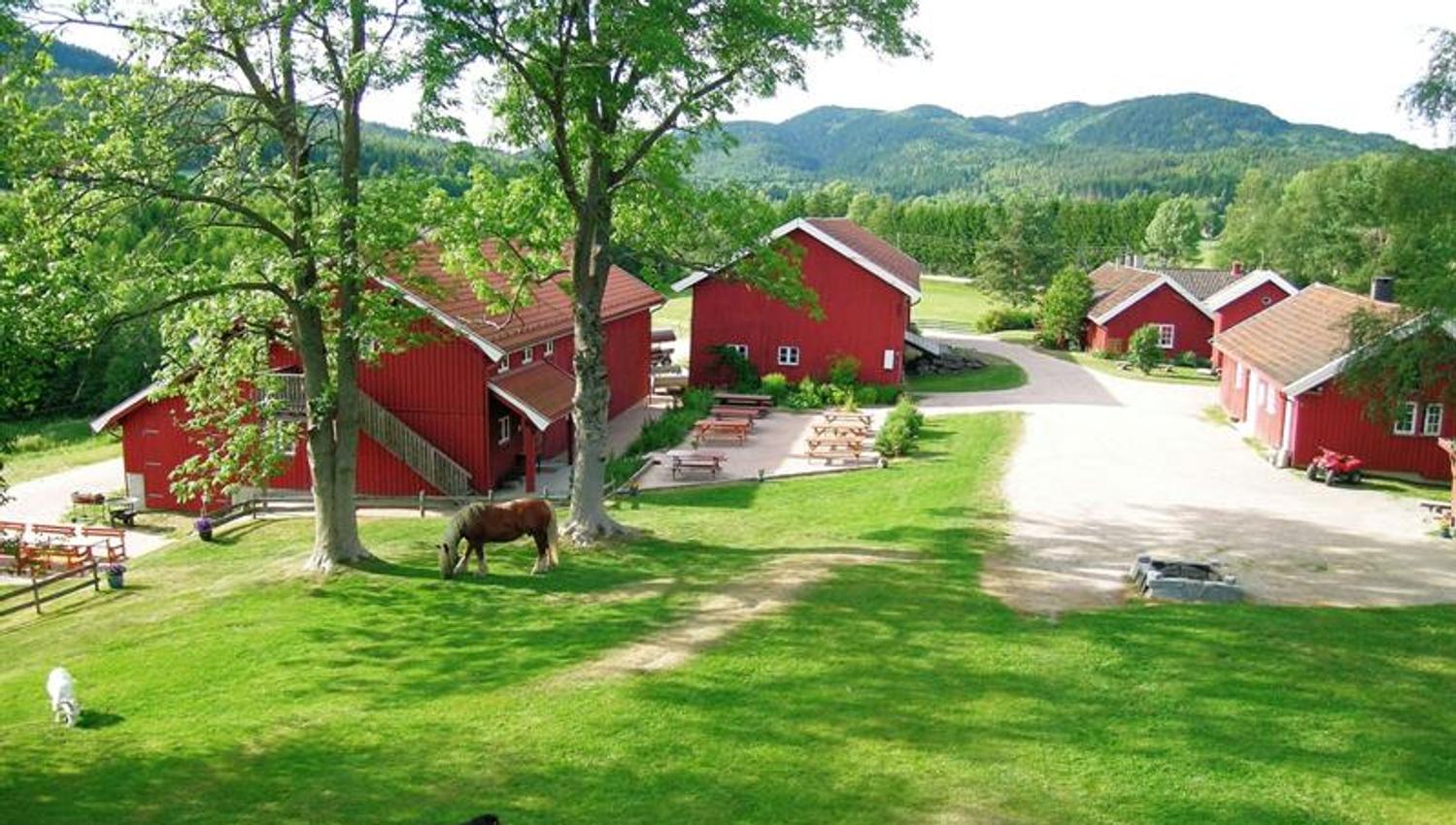 ulike dyr og bygninger på gården
