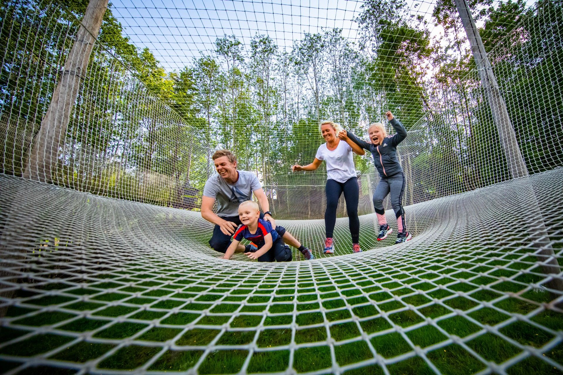 A family of four jumps in a net.