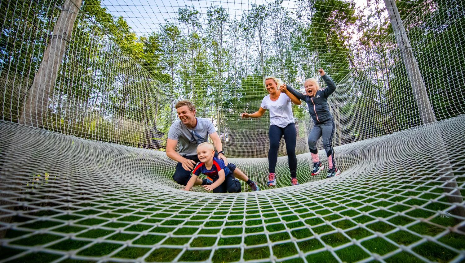 A family of four jumps in a net.