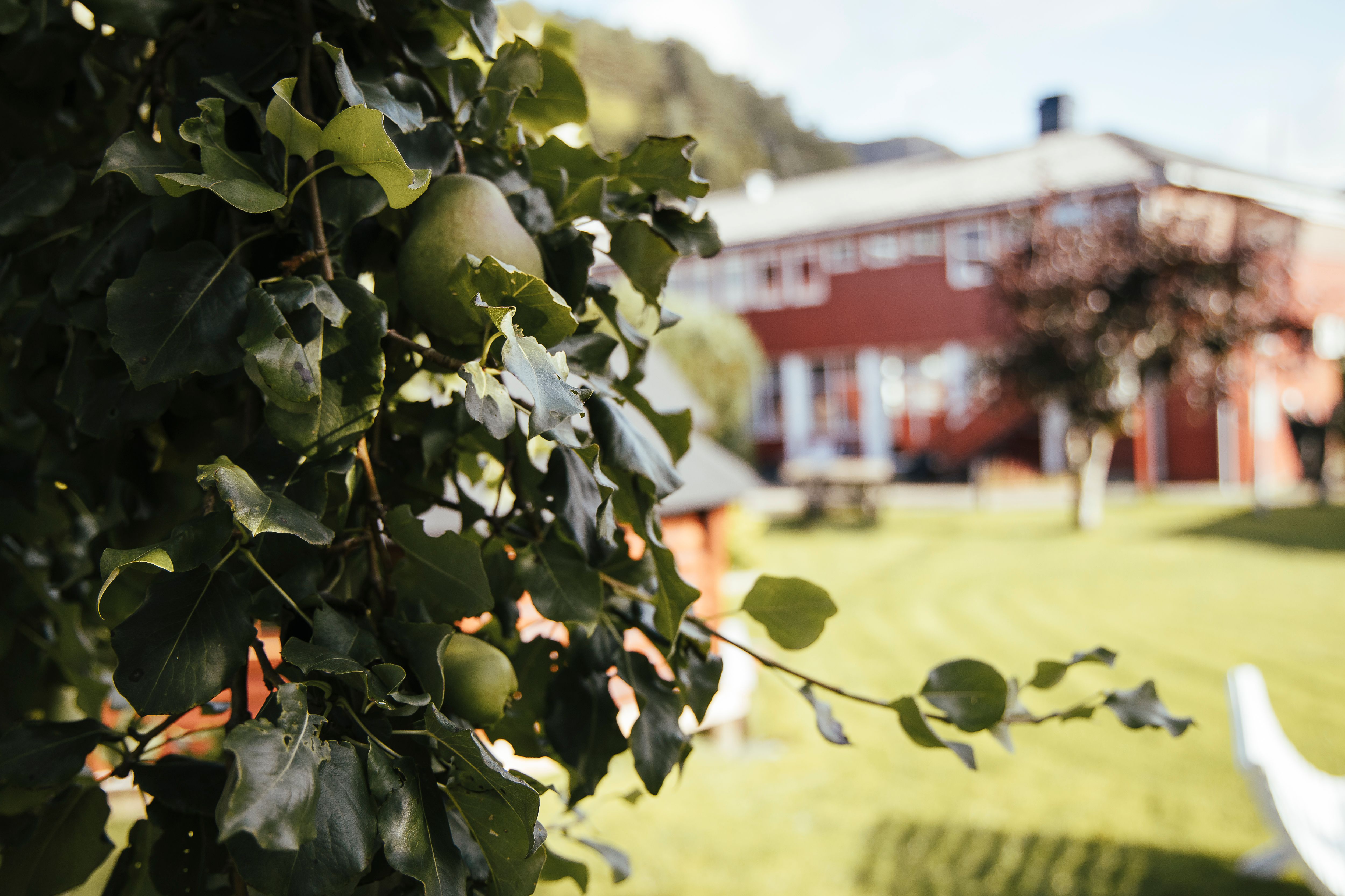 Askvoll fjordhotell