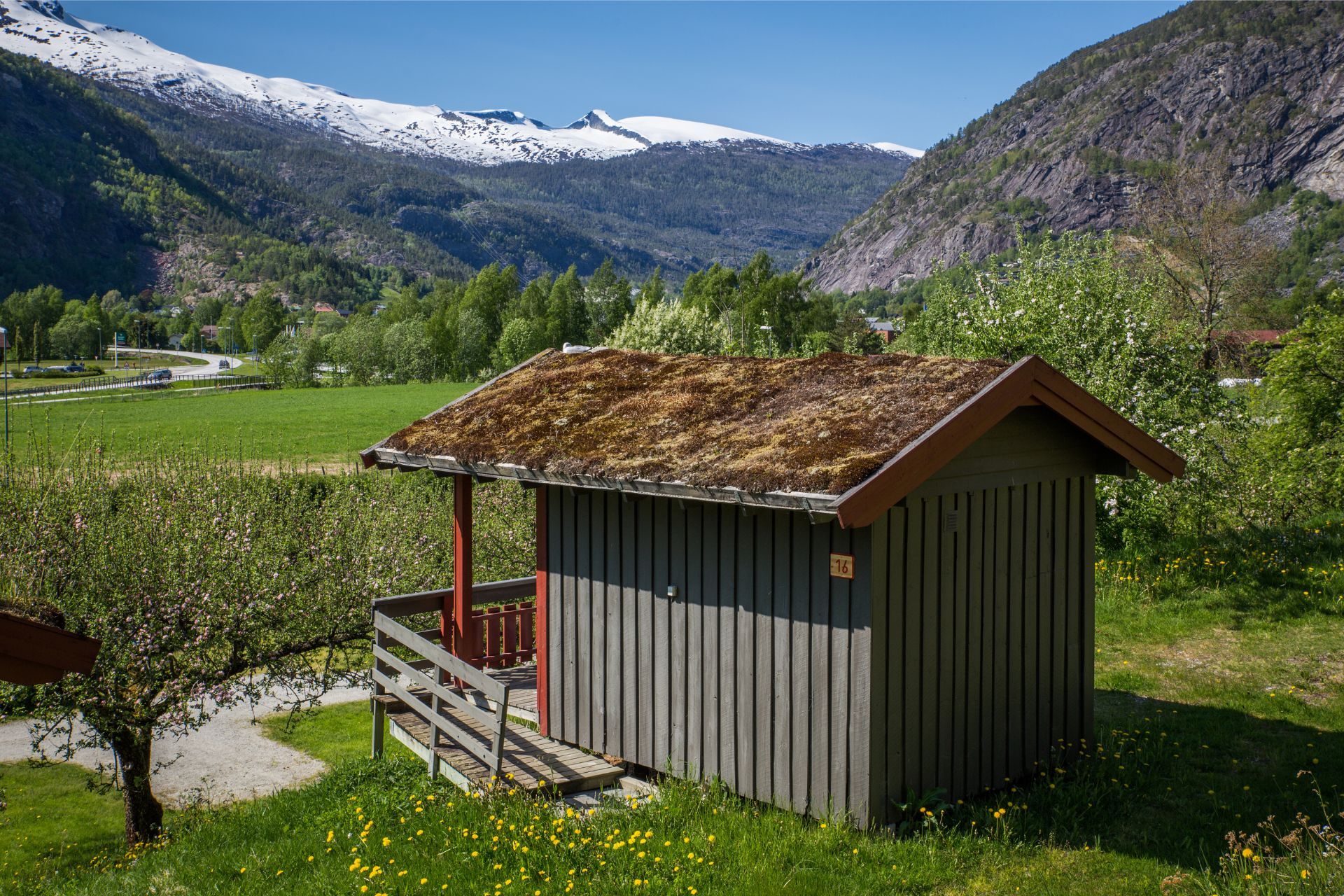 Pluscamp Sandvik