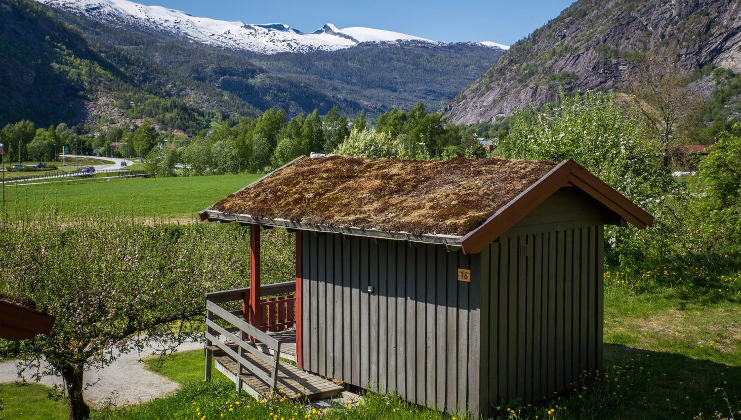 Pluscamp Sandvik