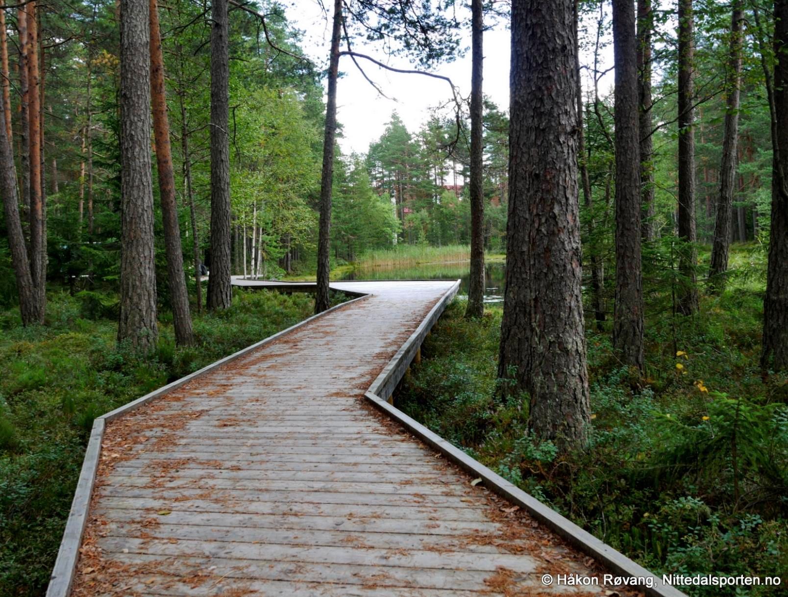 Salamanderparken