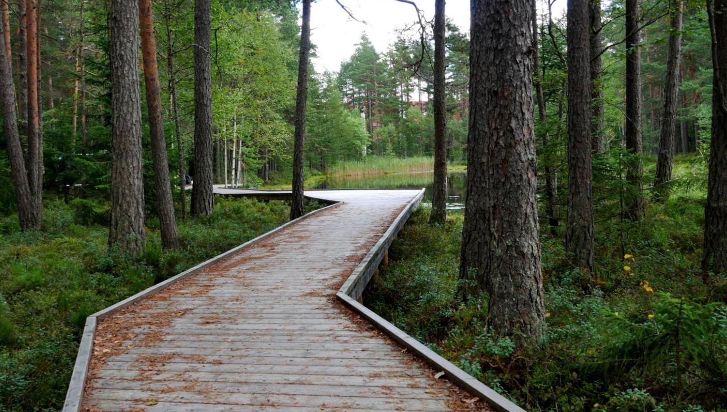 Salamanderparken