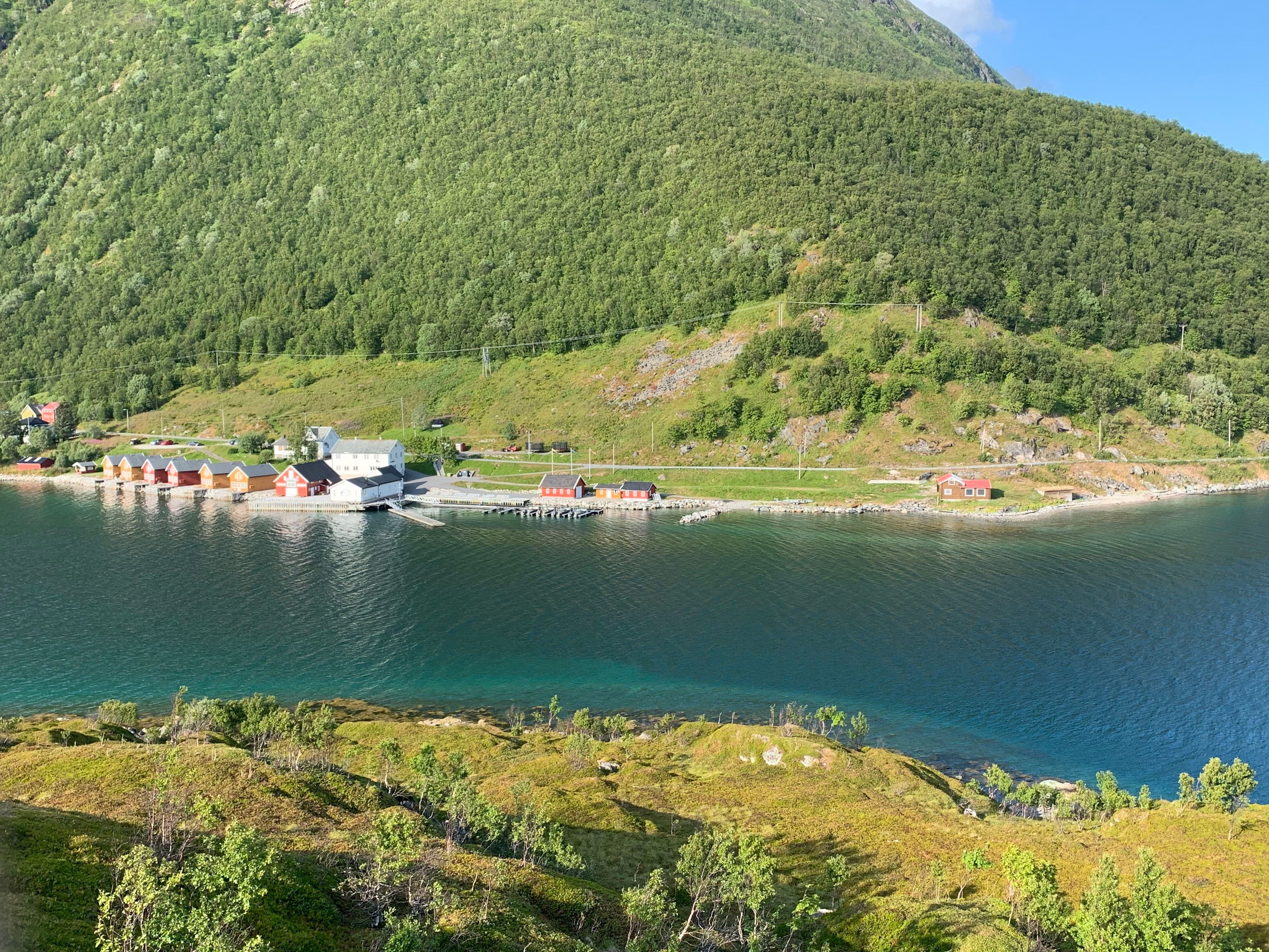 Lauklines in summer