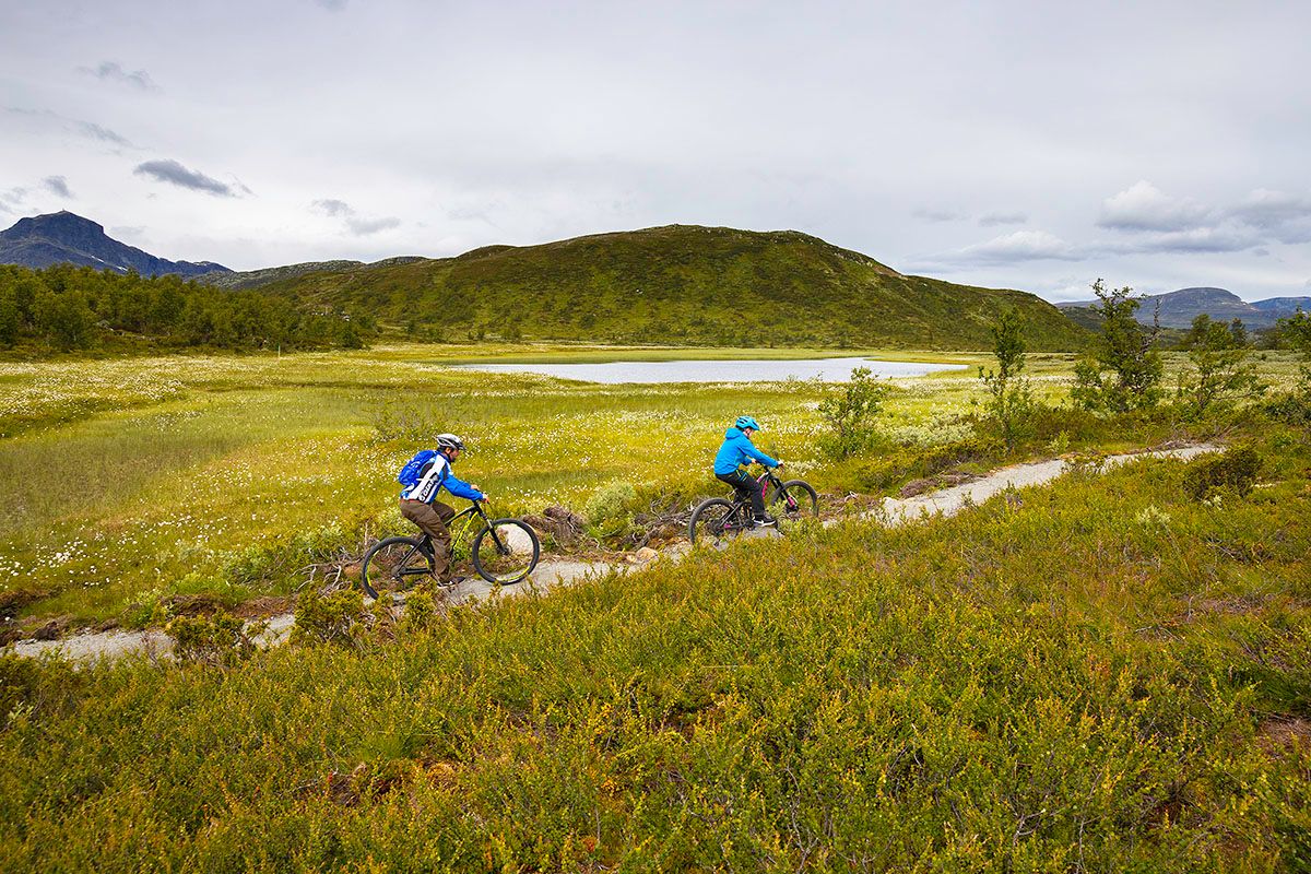 Two mountain bikers on a sustainably built trail in the mountains.
