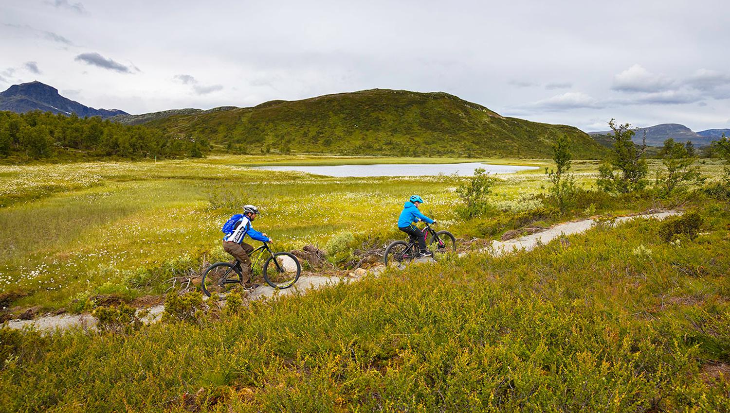 Two mountain bikers on a sustainably built trail in the mountains.