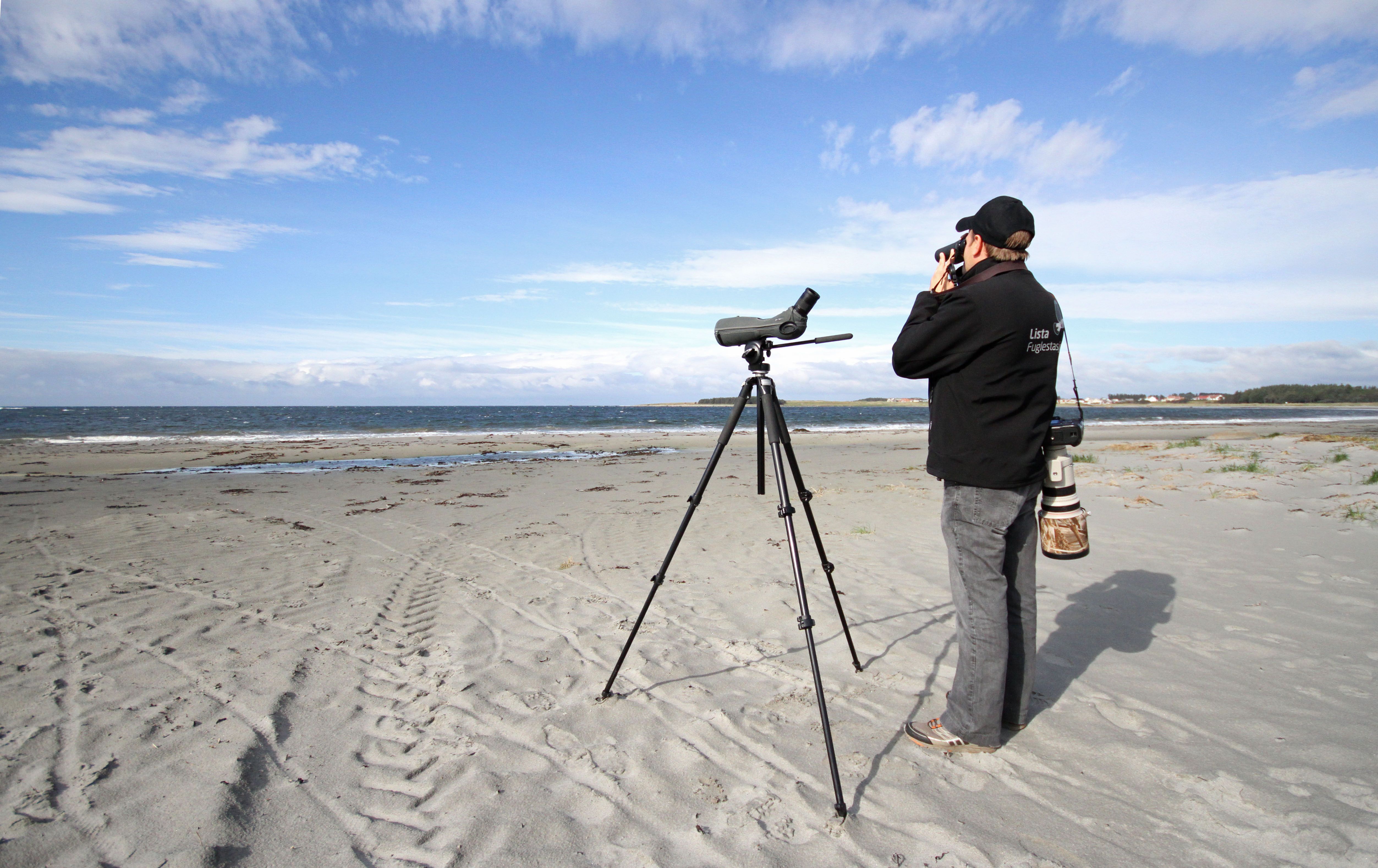 Bird watching Lista