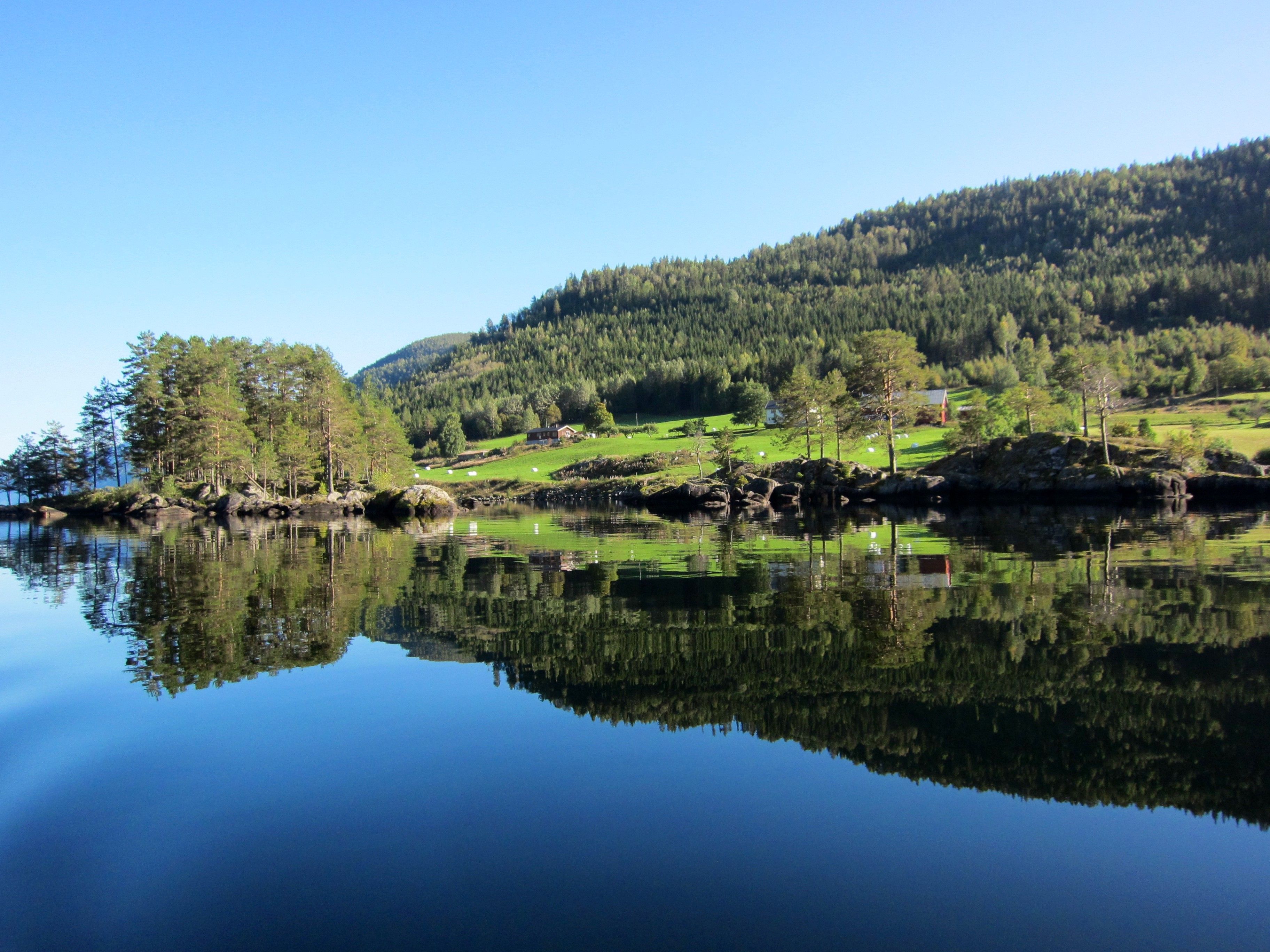 Lauvik