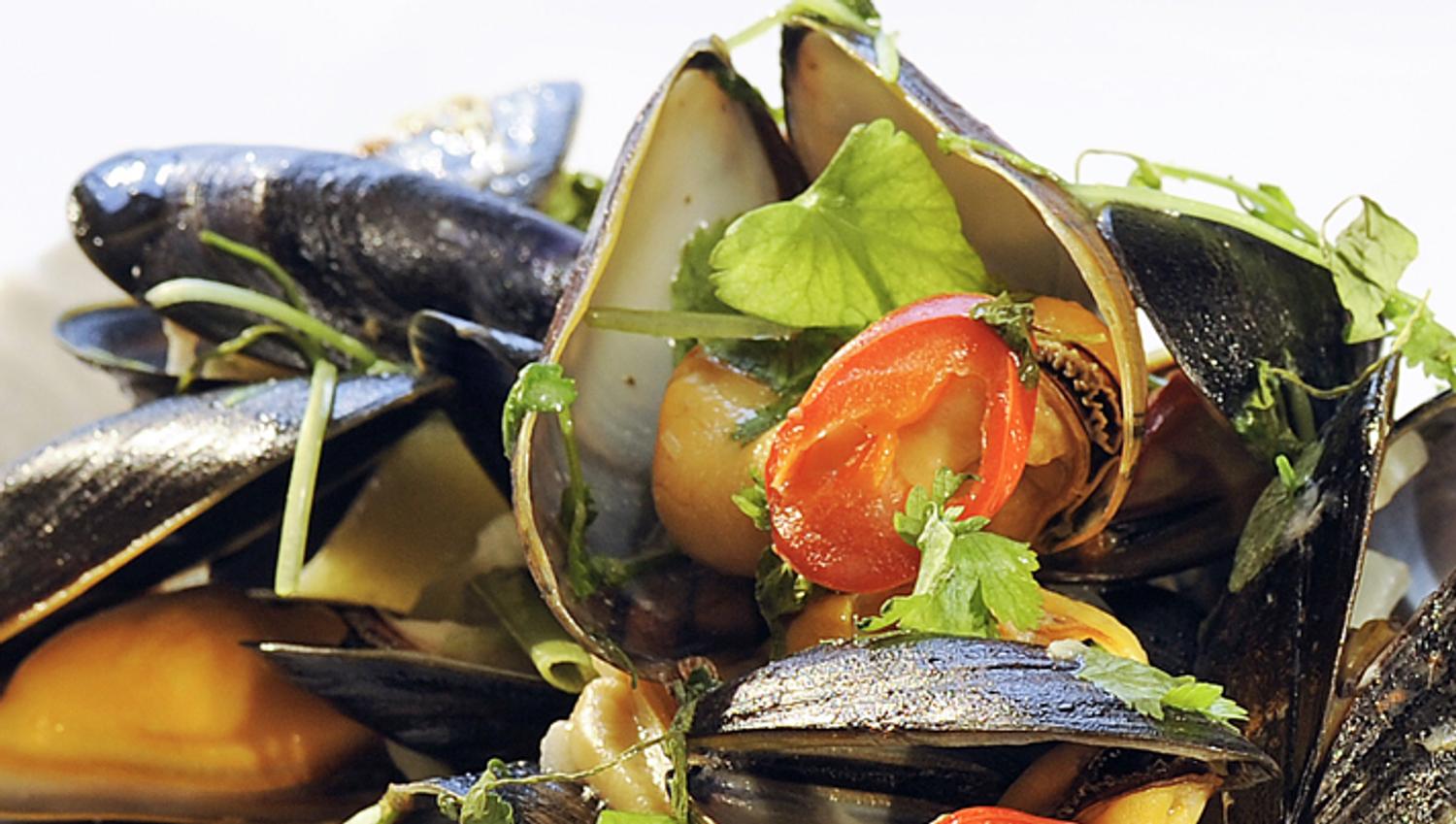 Seafood