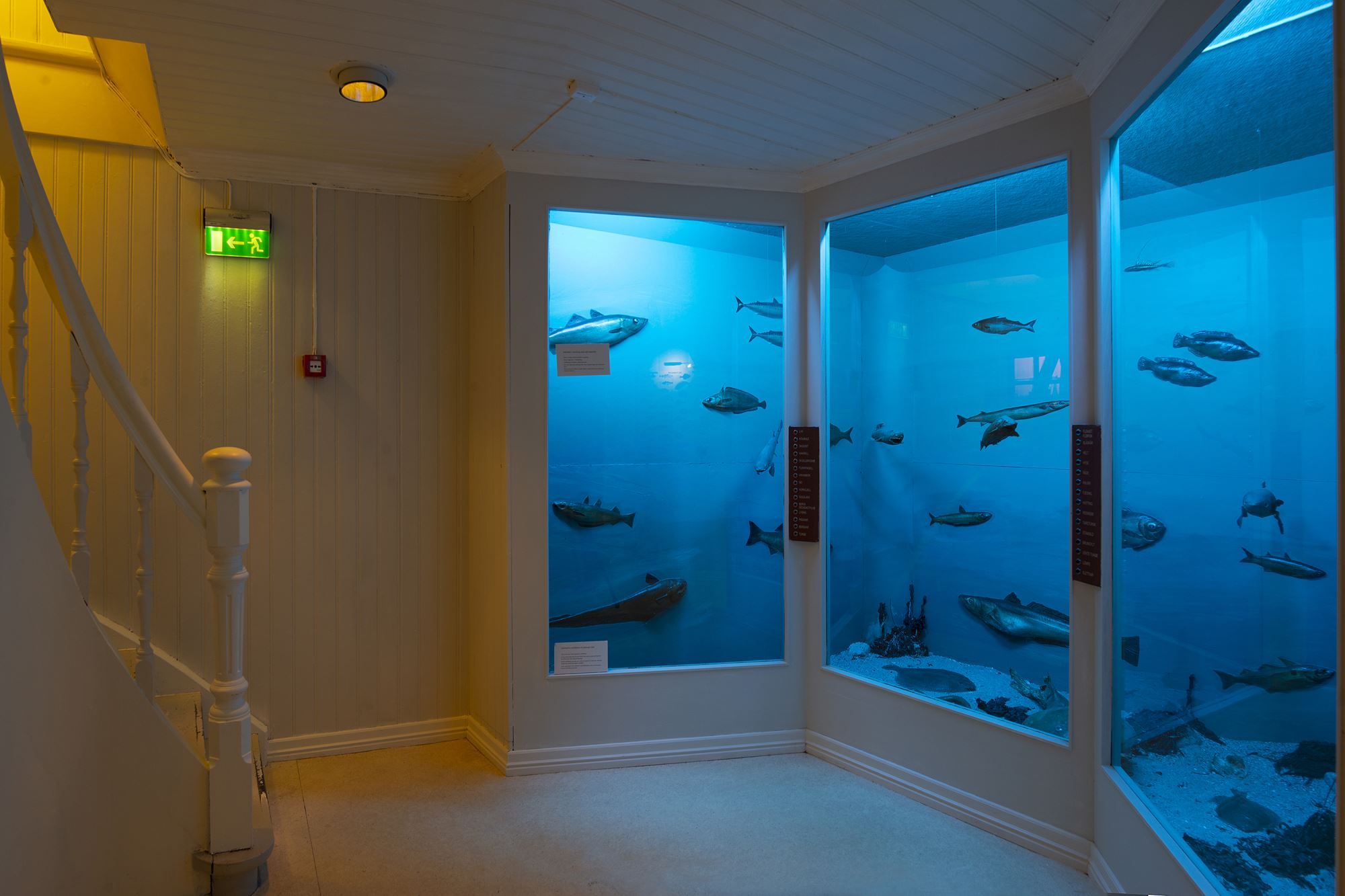 Bymuseet i Bodø