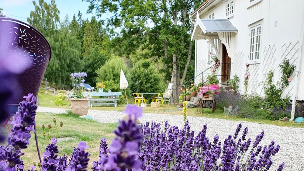 Kragerø_sommer_Hage-til-Galleri-Bak-Fasaden-på-Skåtøy_1000x562