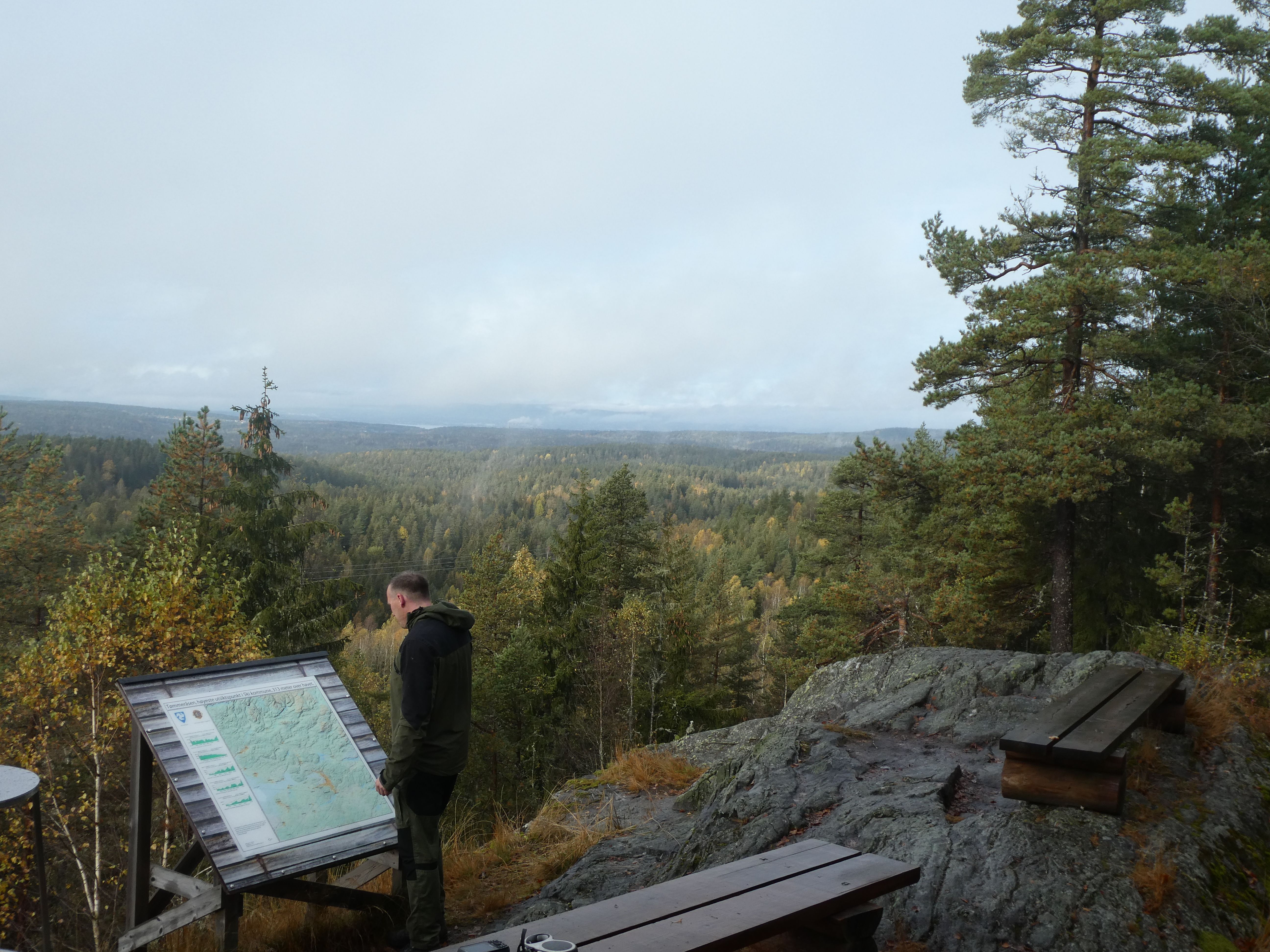 Tømmeråsen