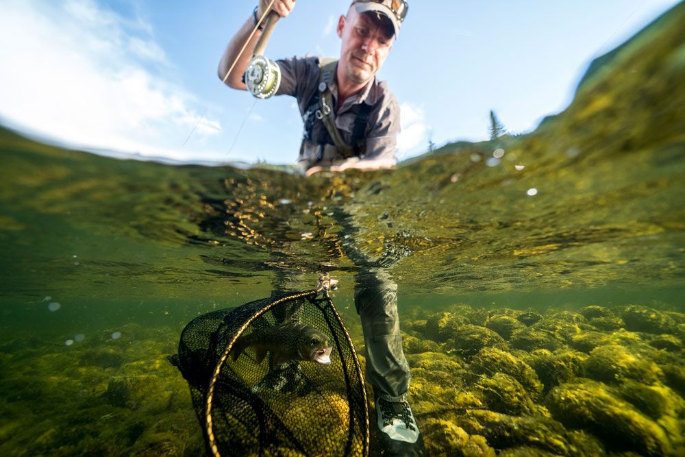 man has caught fish with a net