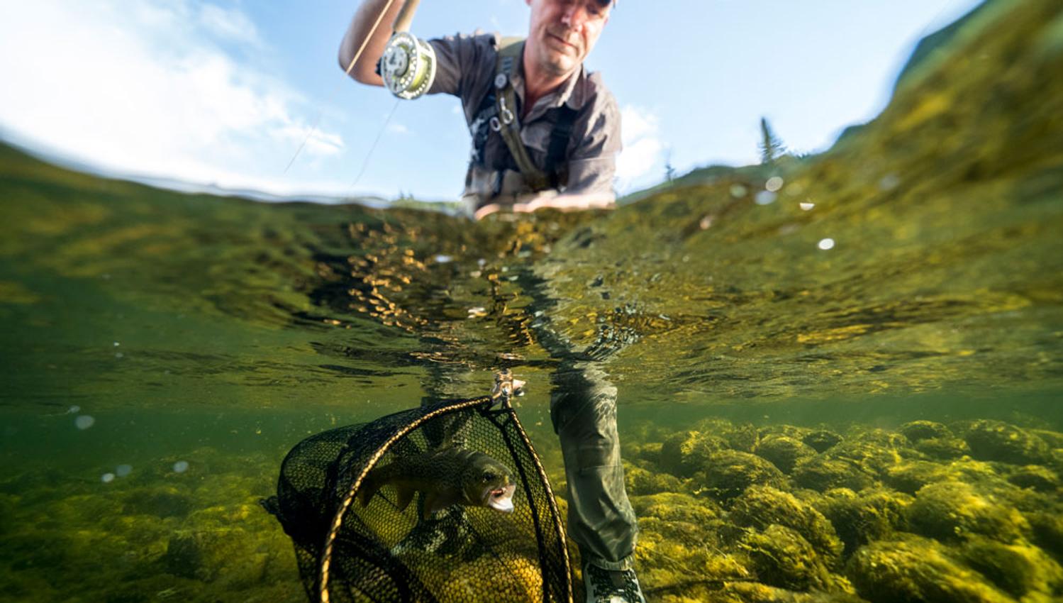 man has caught fish with a net