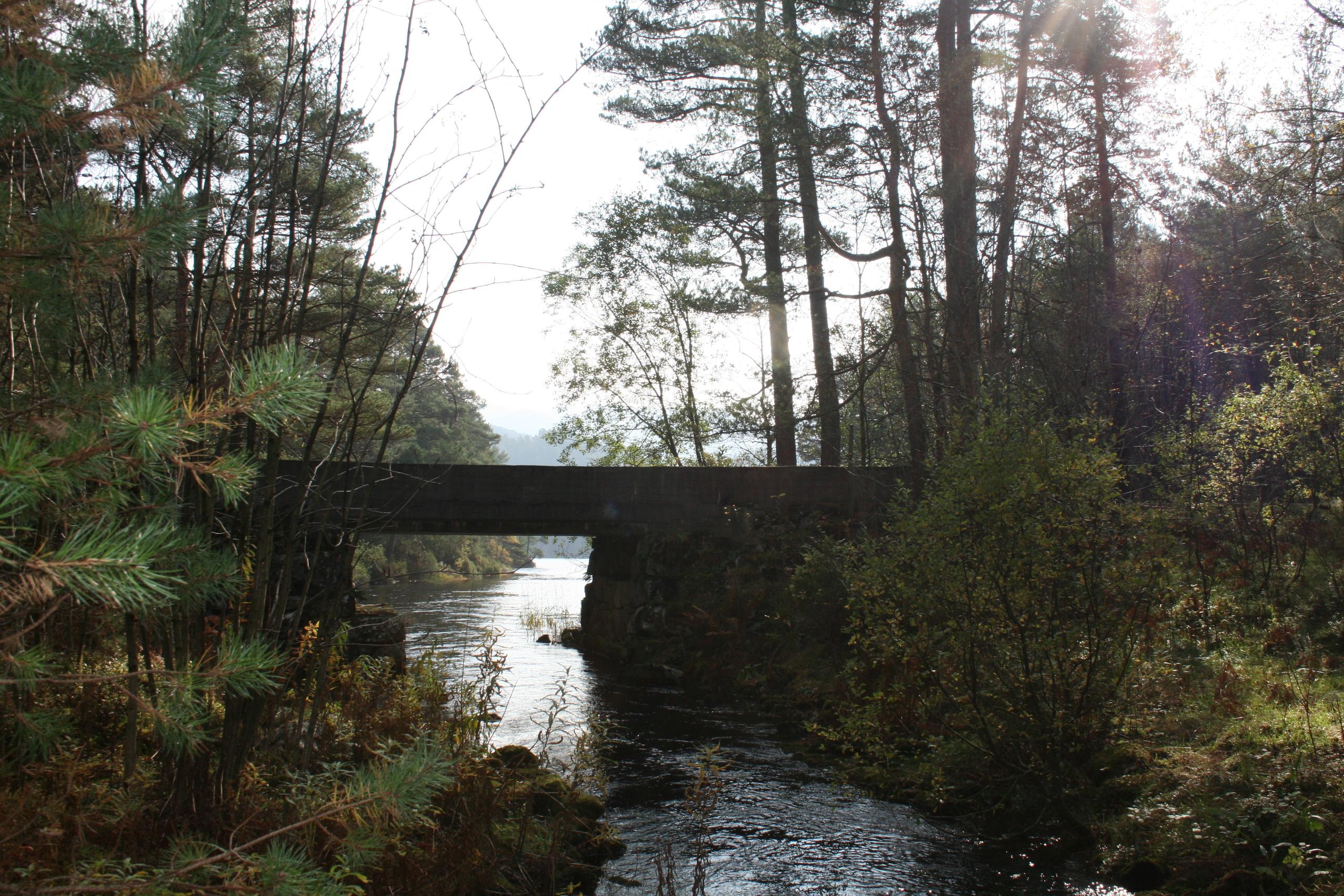 Bicycle route to Flatråkervassdraget