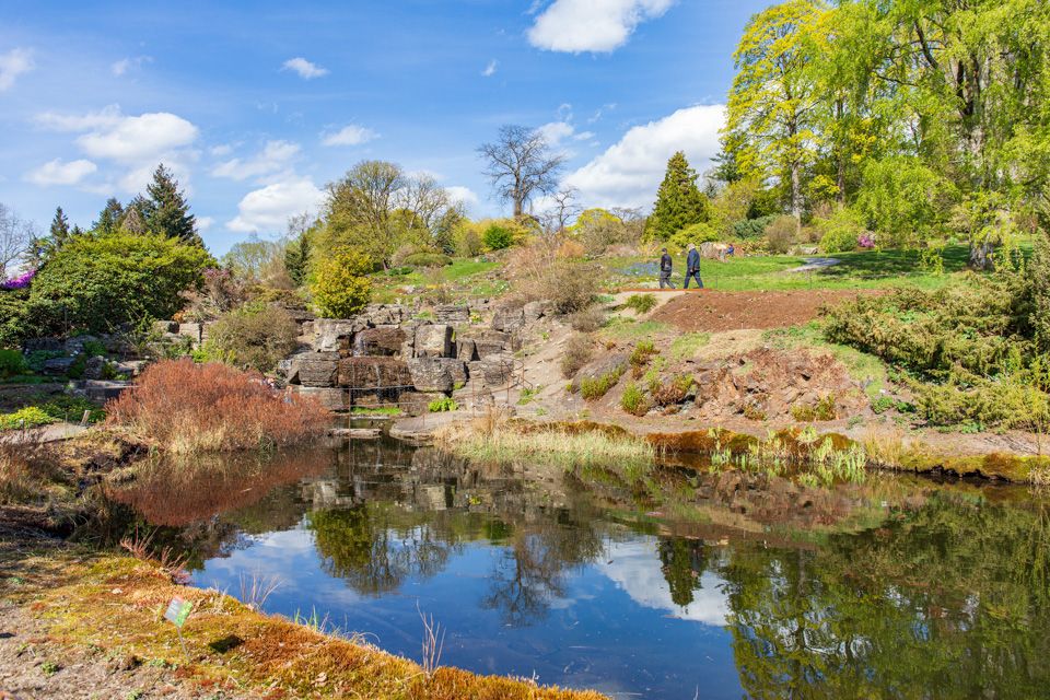 Pond surrounded by trees.