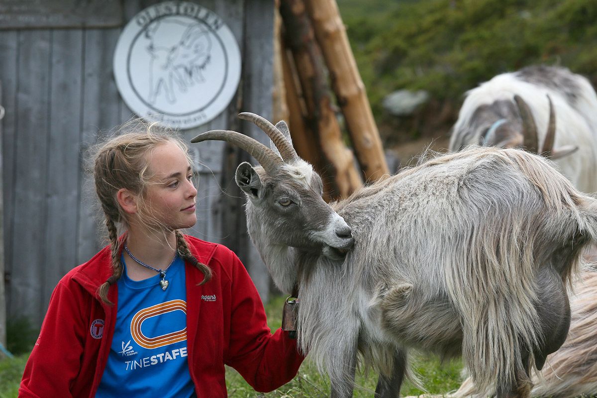 "A taste of farm life" at Olestølen