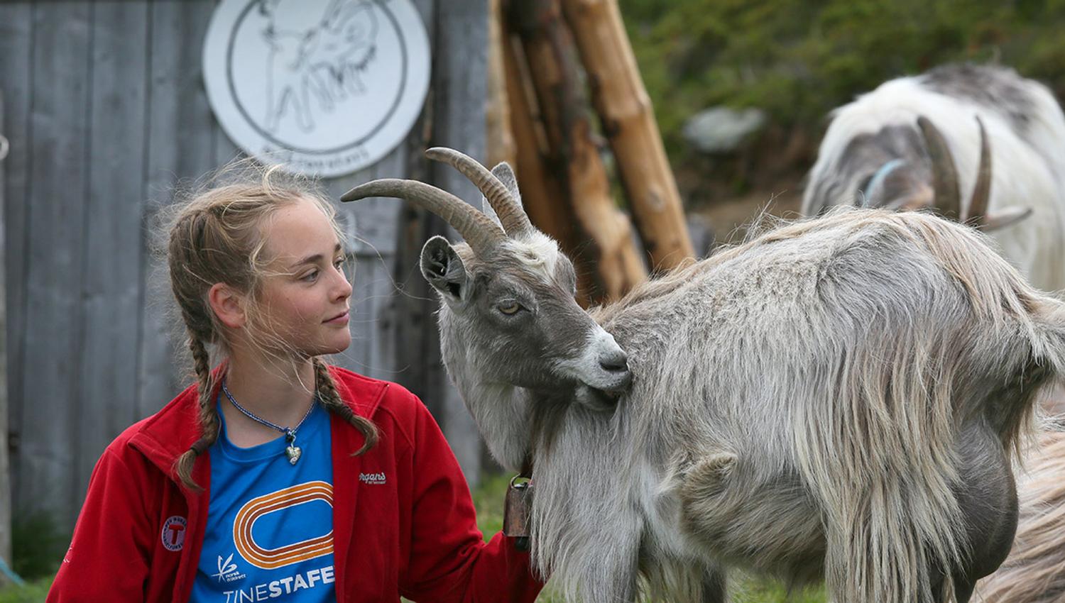 "A taste of farm life" at Olestølen