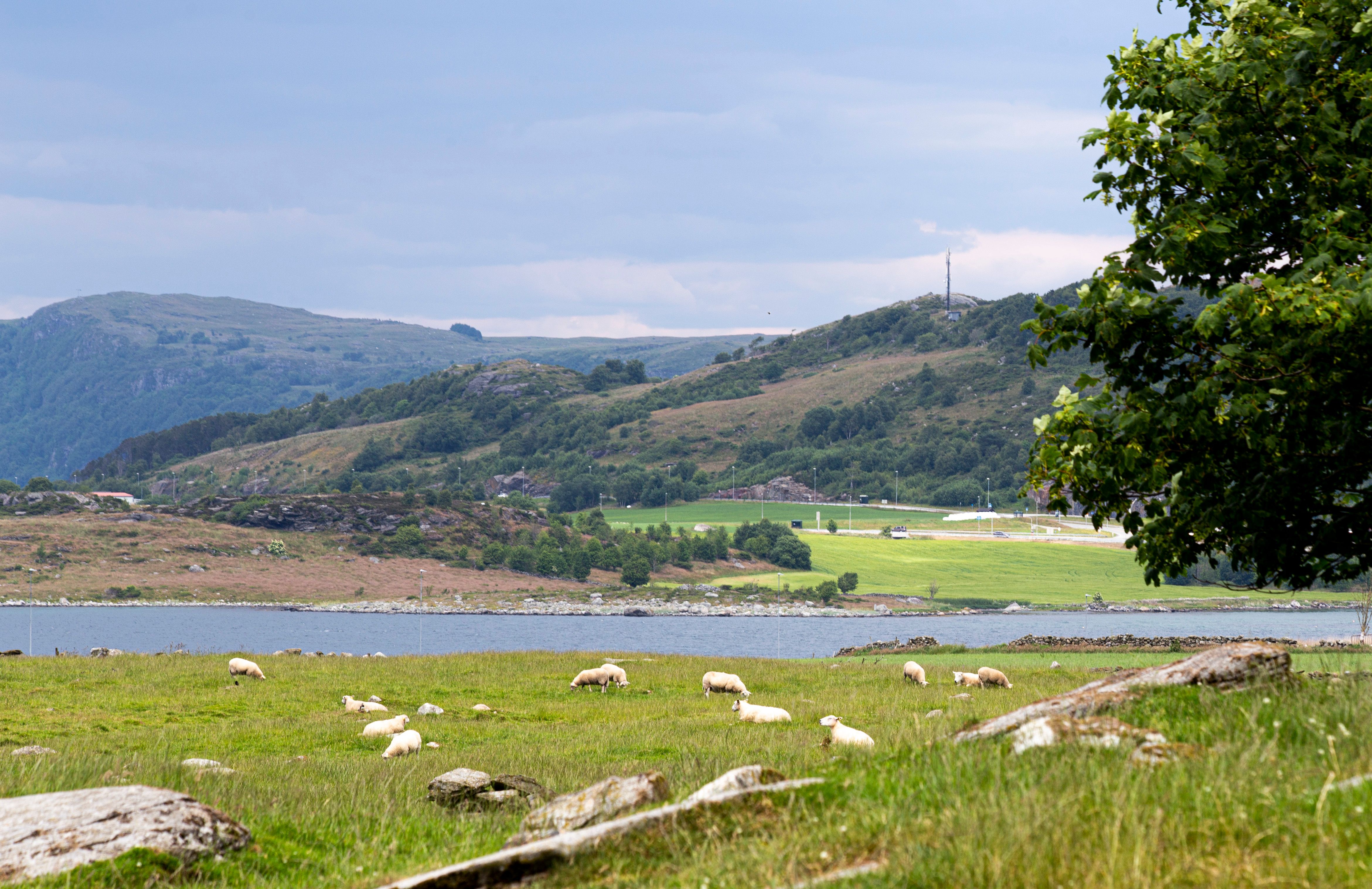 Nice coastal landscape on the green islands