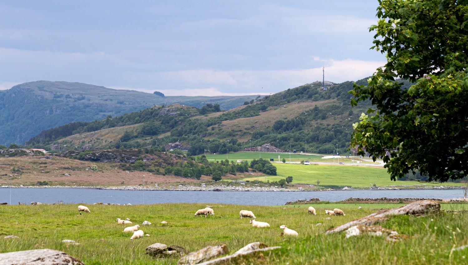 Nice coastal landscape on the green islands