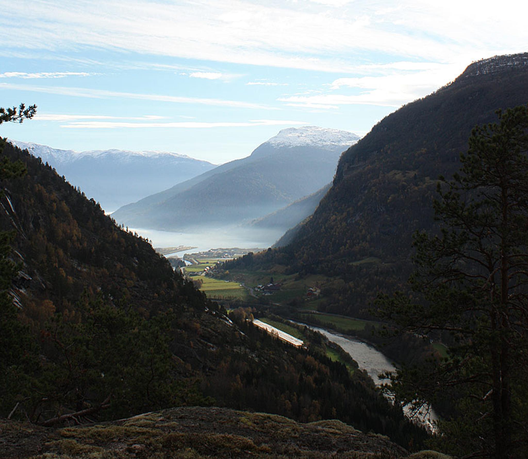 Venåsen