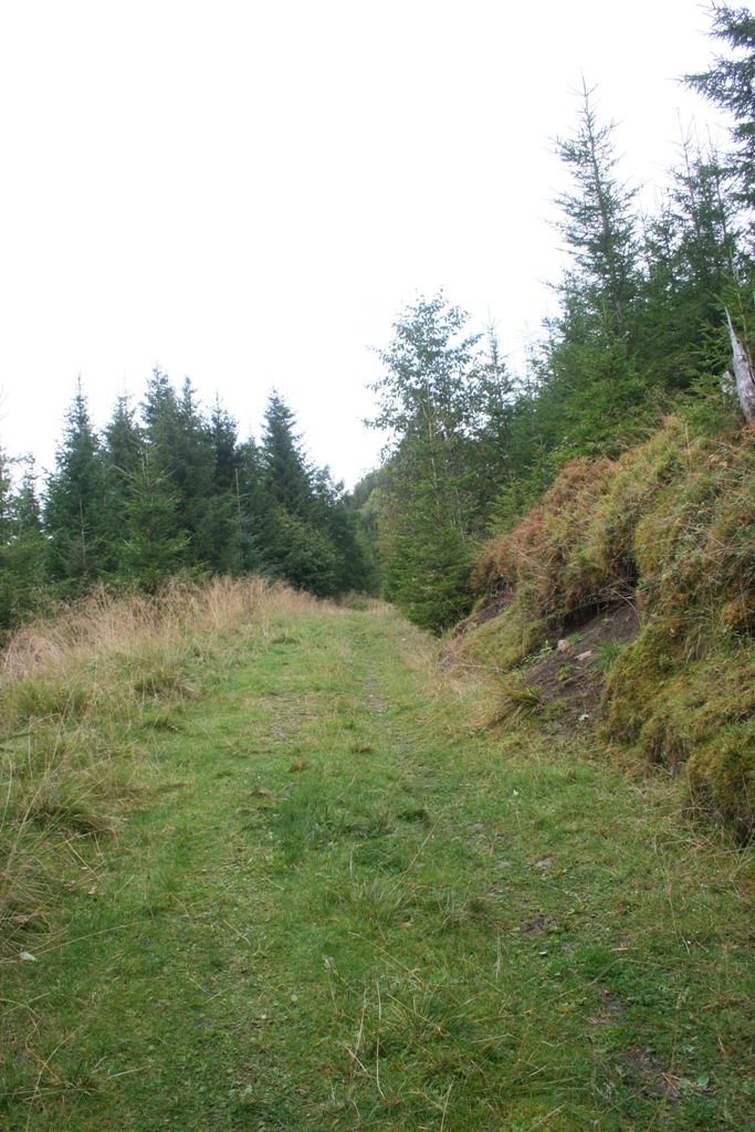 Traktorvei