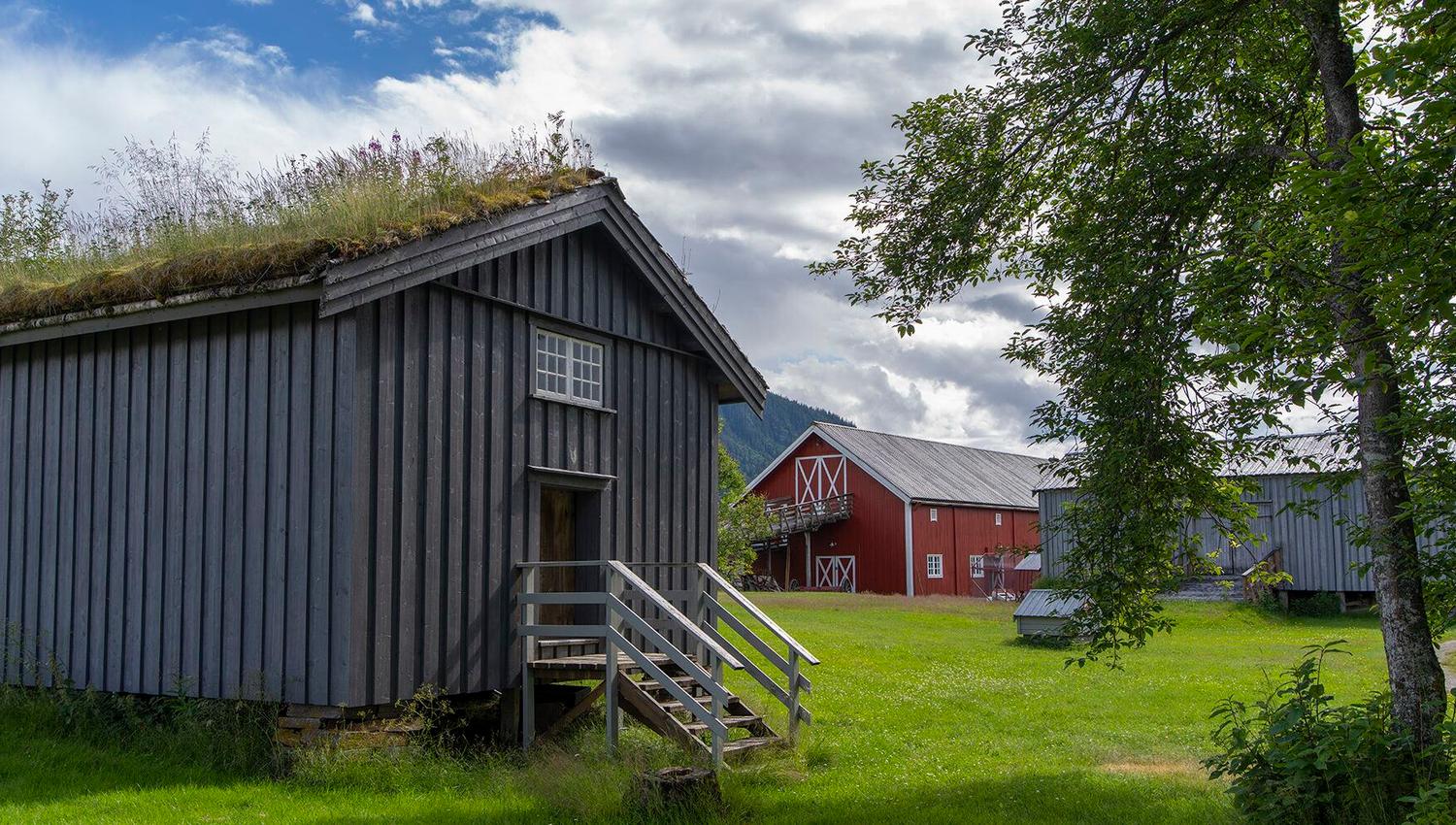 Helgeland museum