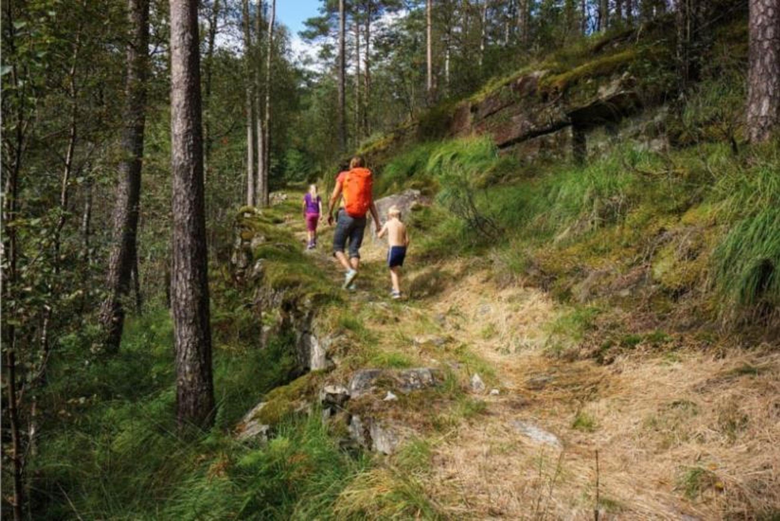 Fløgstadåsen - hike