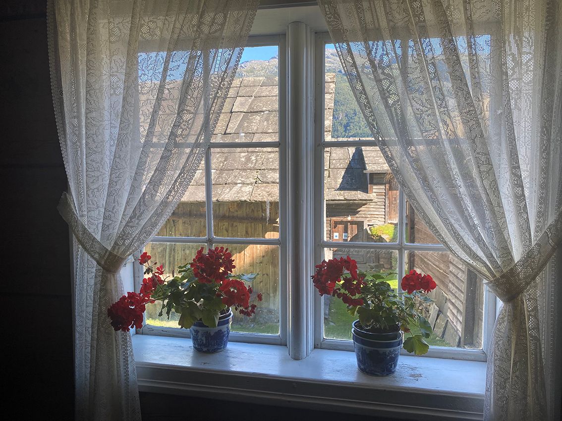 A close up photo of flowers in a window with lace curtains 