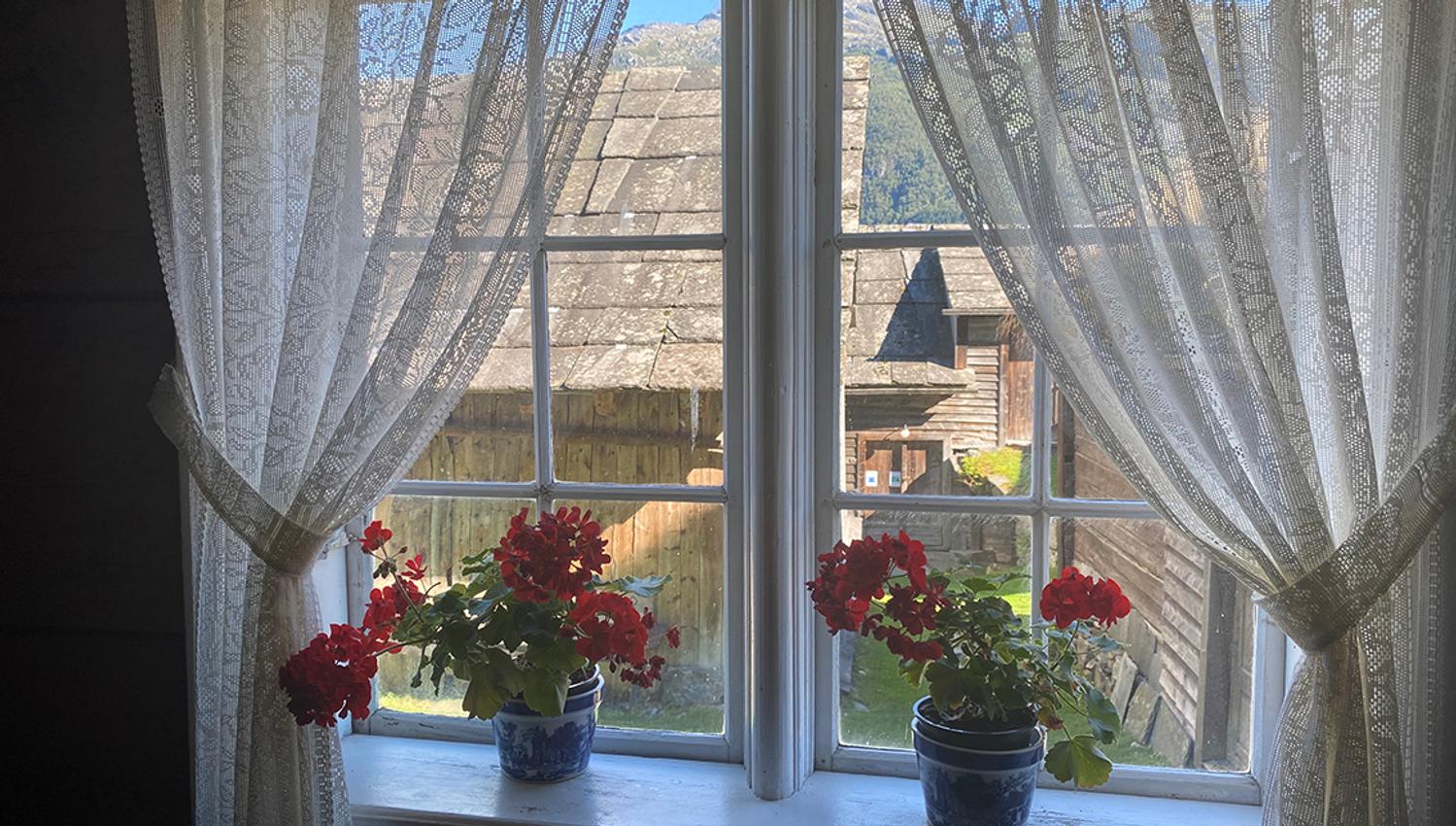 A close up photo of flowers in a window with lace curtains