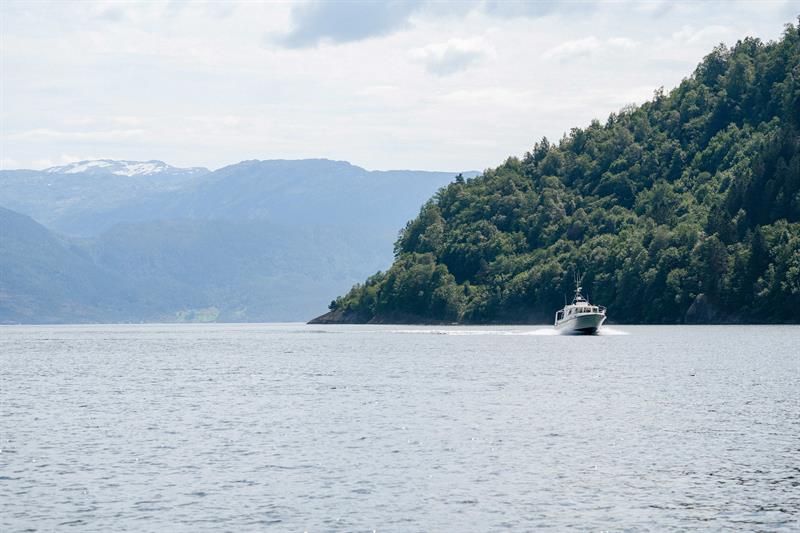 Pilagutt cruising through the Hardangerfjord with majestic mountains in the background.