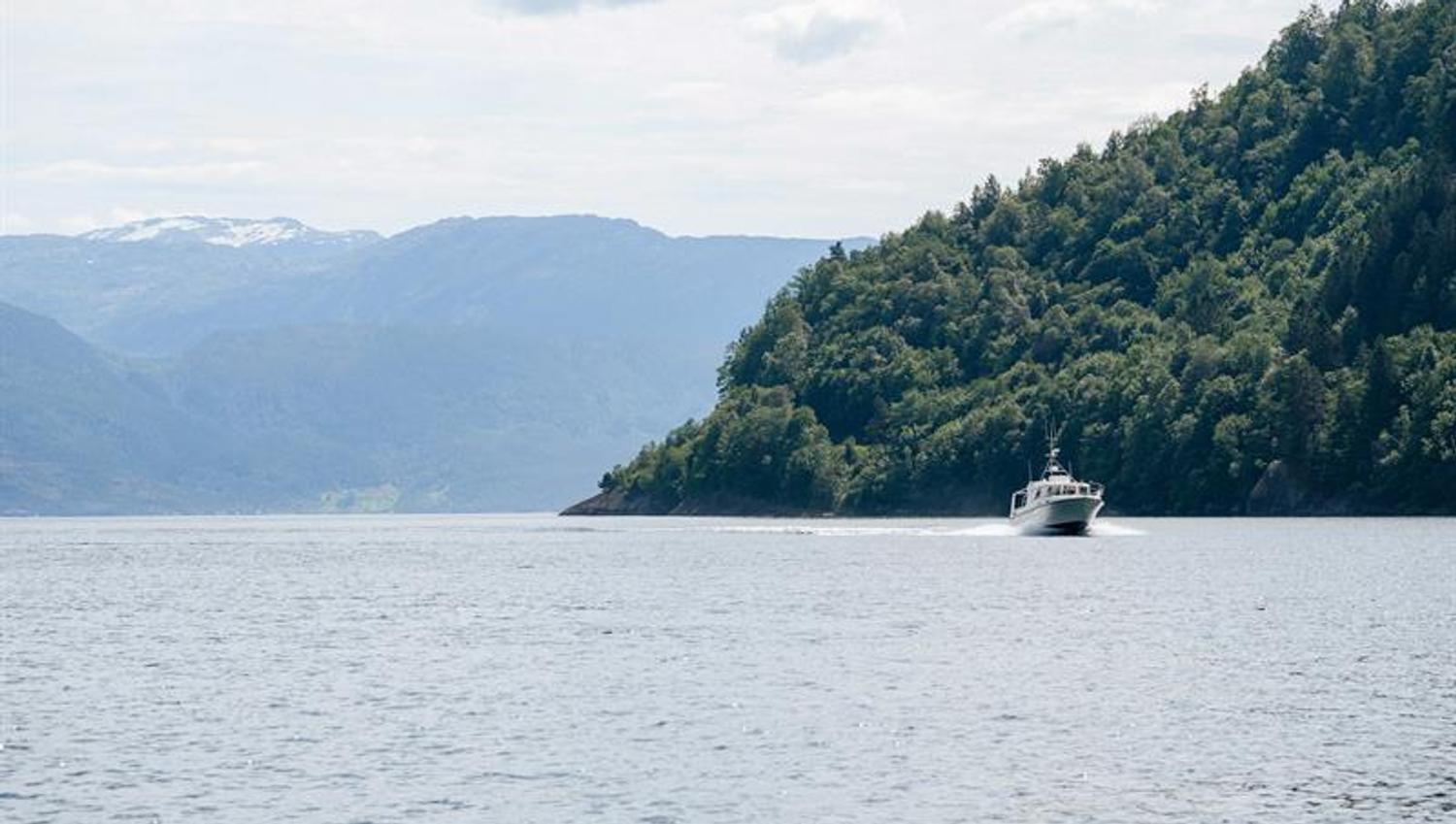 Pilagutt cruising through the Hardangerfjord with majestic mountains in the background.