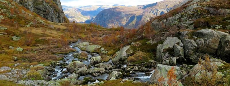 Stoladalen on the Tourist Route to Folgefonna, featuring a mountain stream, moss-covered rocks and a golden autumn landscape between Tveitanuten and M