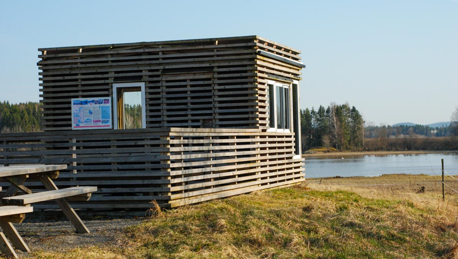 Dilleviktårnet