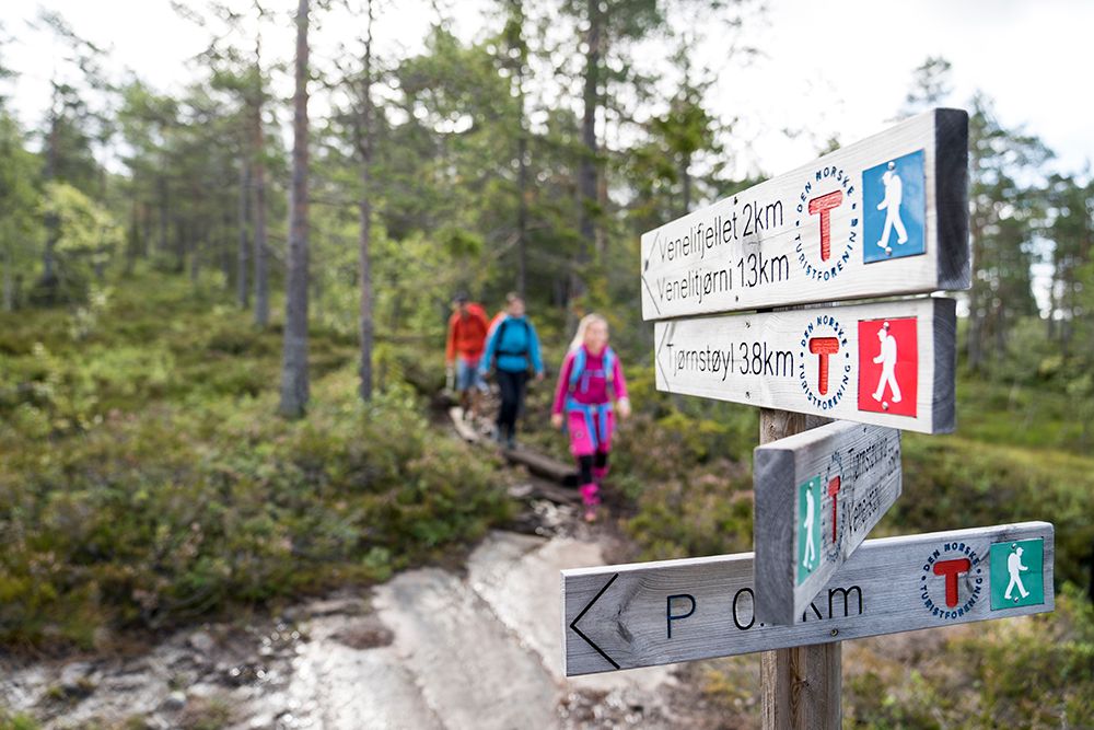 hiking sign on the way to Venelifjell in Vrådal 