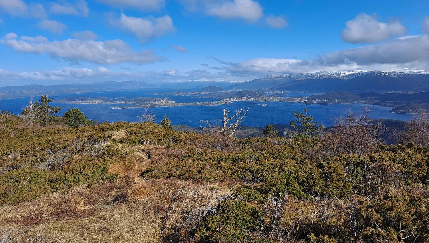 Utsikt mot Halsnøy frå toppen av Borgundnuten