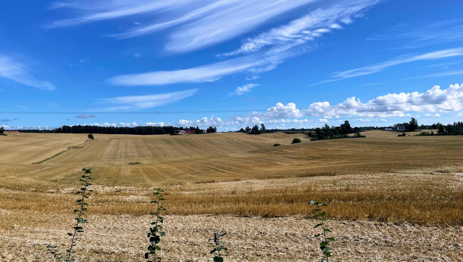 Åkerlandskap i Nannestad
