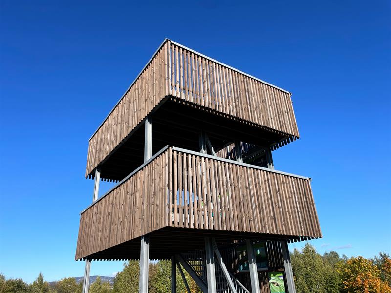 View tower in wood