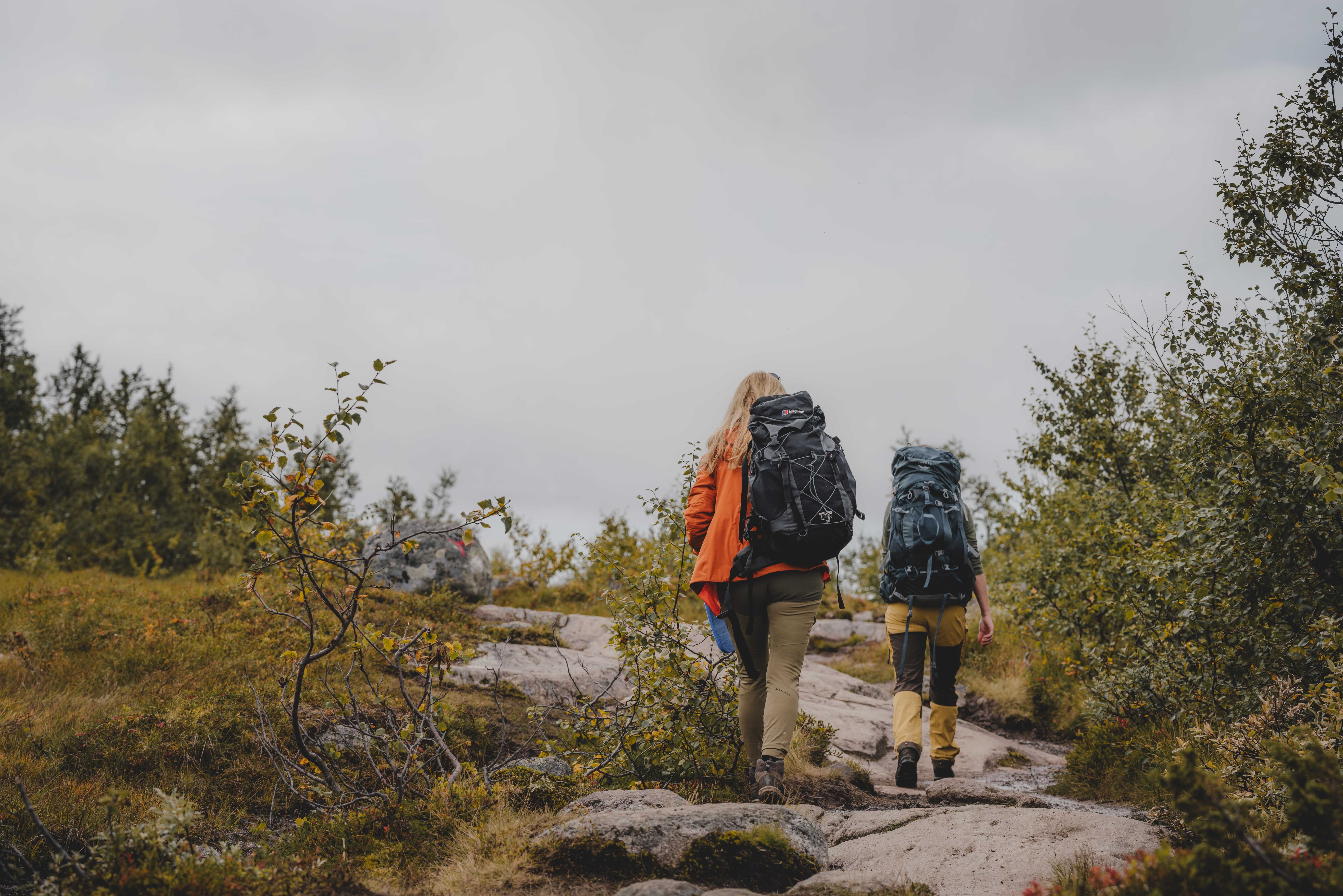 Drei Personen wandern zwischen einigen Bäumen bergauf.