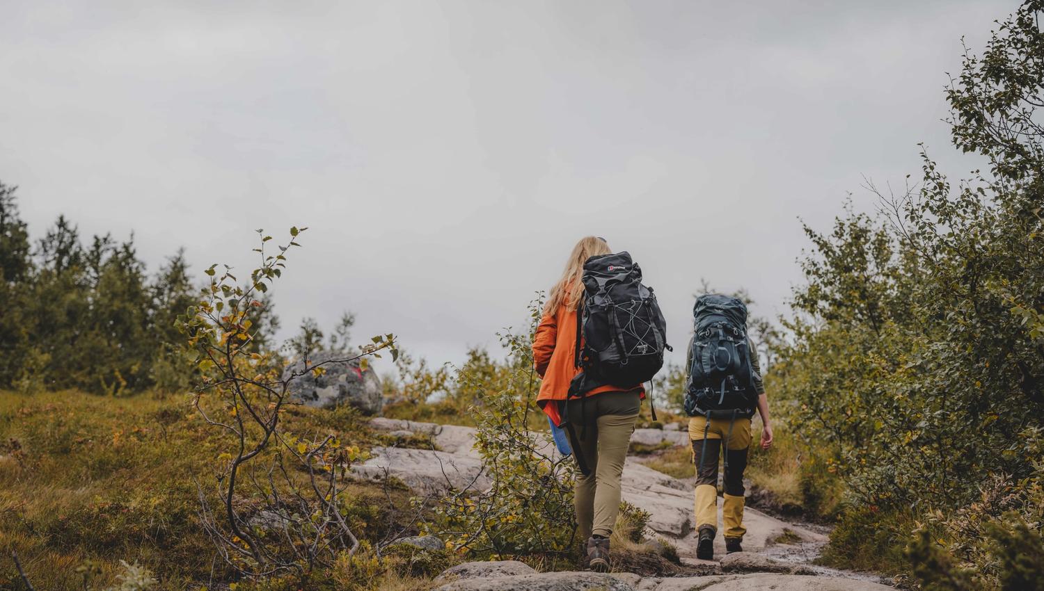 Drei Personen wandern zwischen einigen Bäumen bergauf.