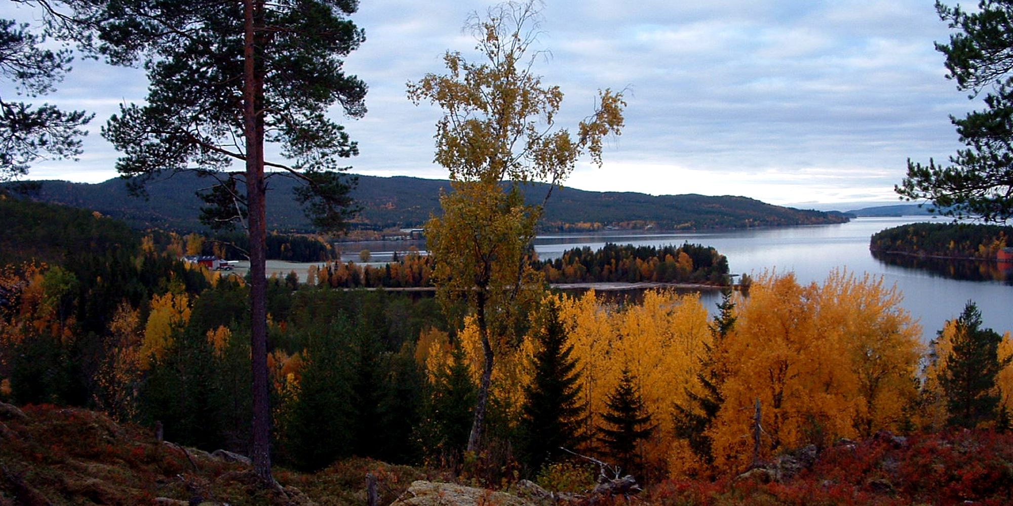 From the viewpoint close to the rock carvings at Bøla