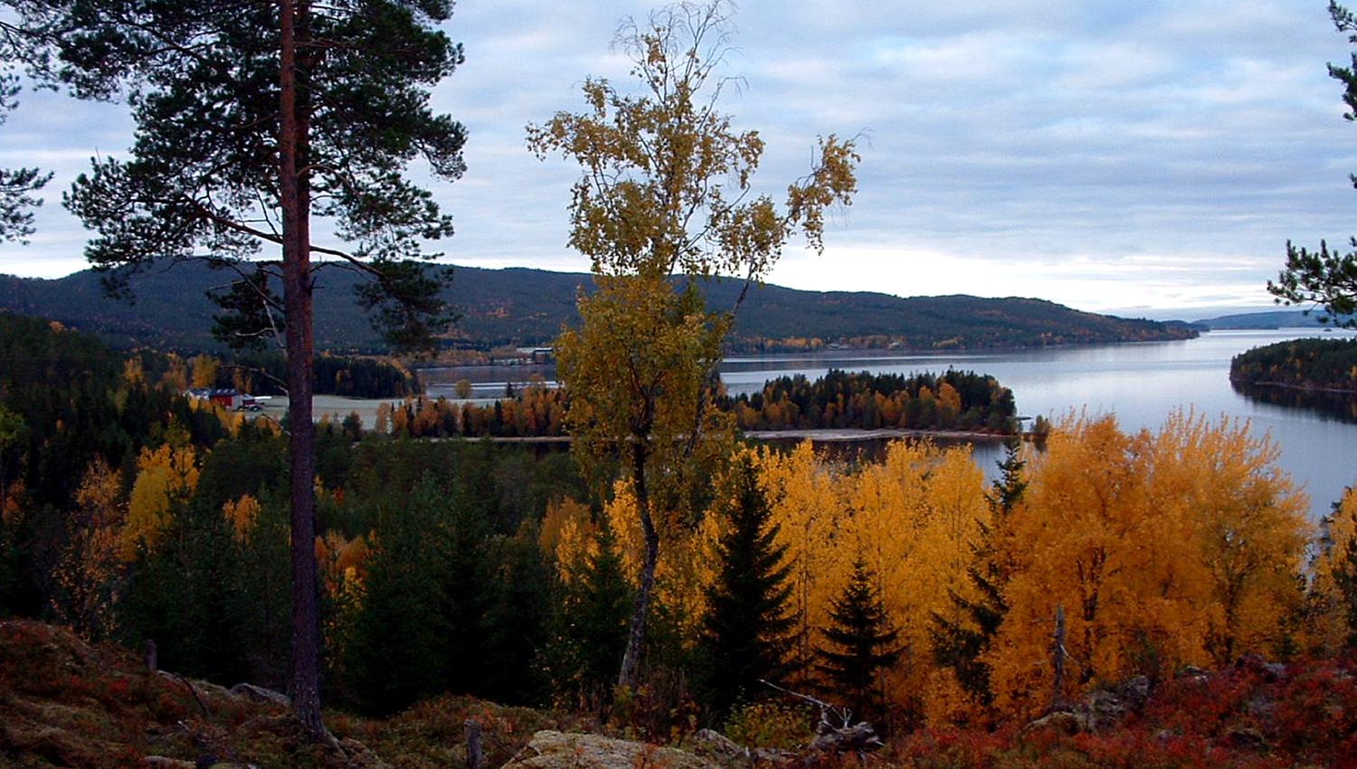 From the viewpoint close to the rock carvings at Bøla